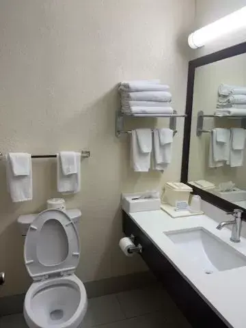 Bathroom in Quality Inn University Area