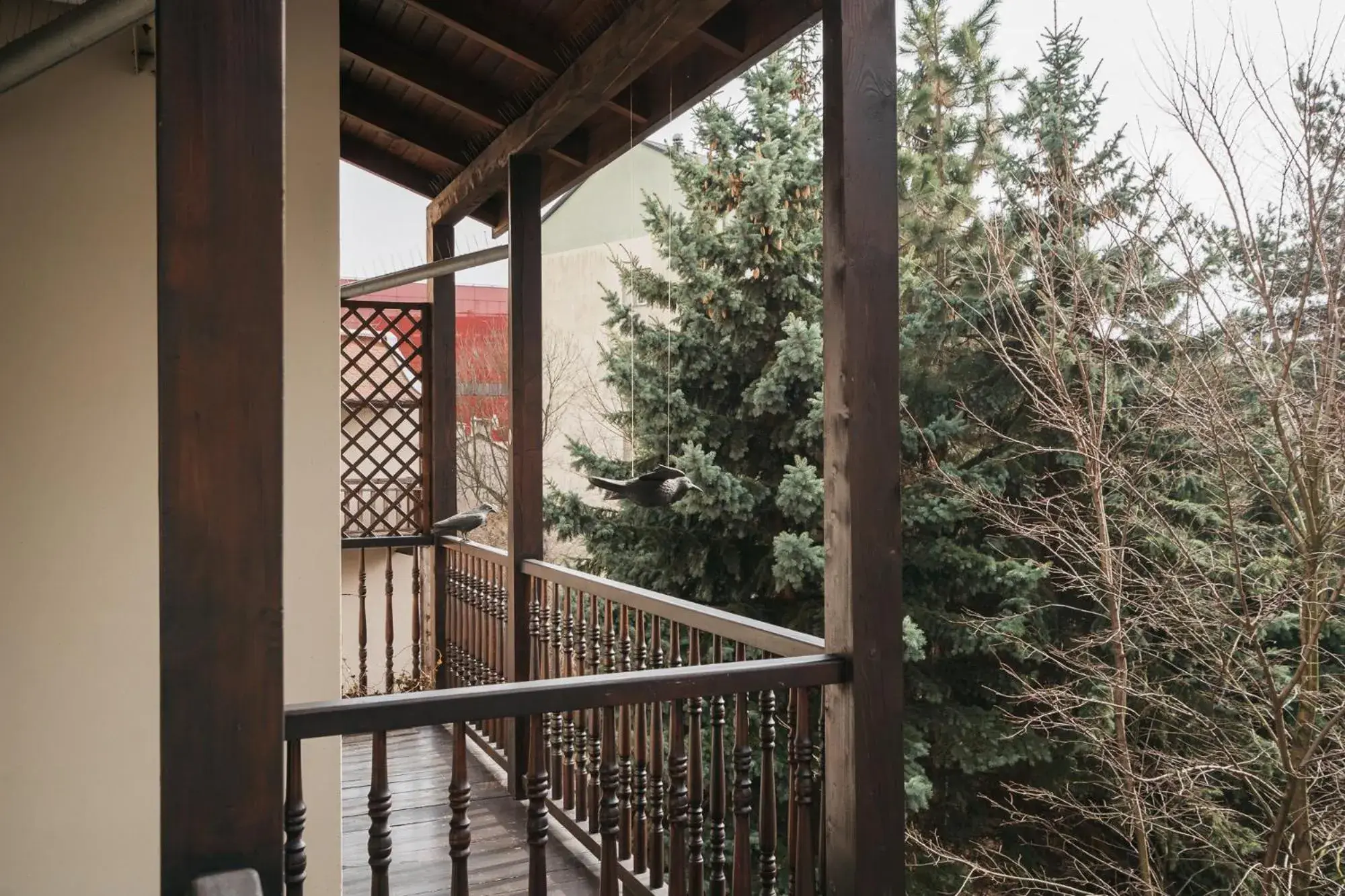 Balcony/Terrace in Topolowa Residence