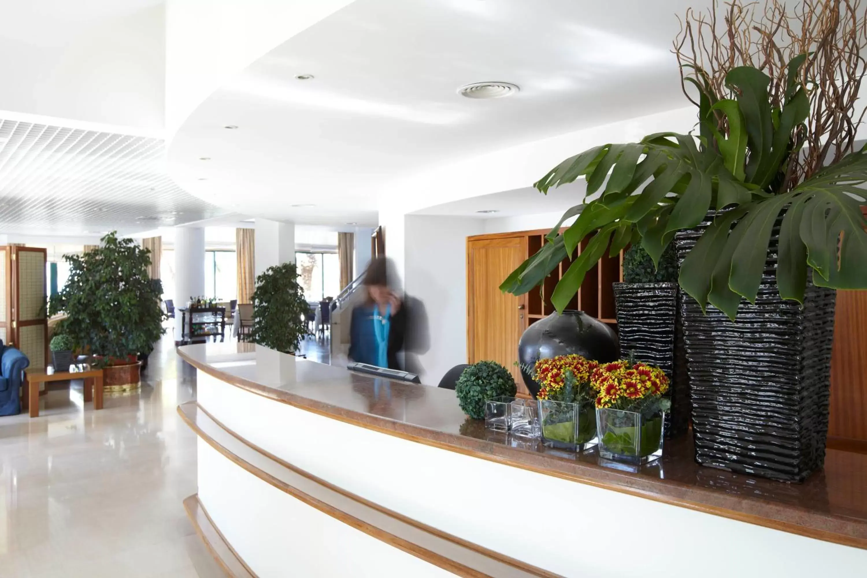 Lobby or reception, Staff in Hotel Escola