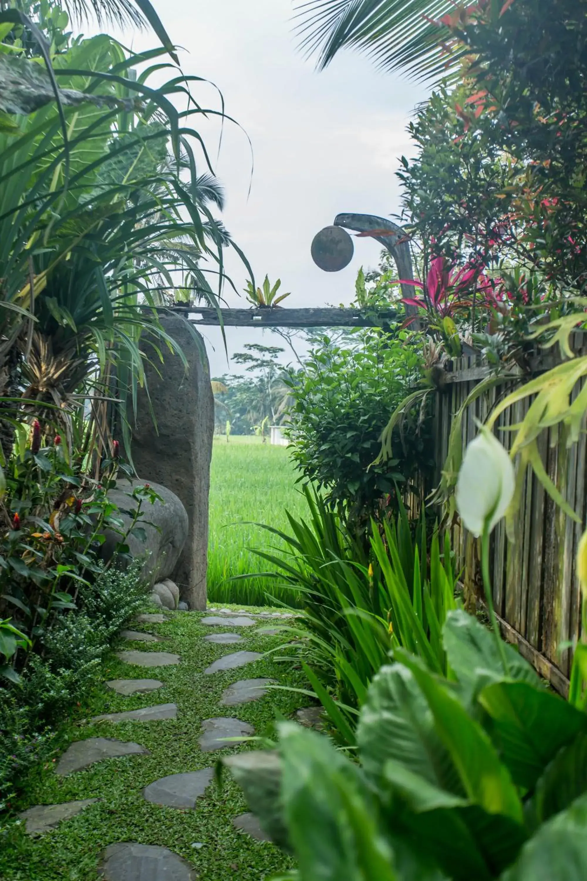 Garden view, Garden in Ubud Luwih Nature Retreat