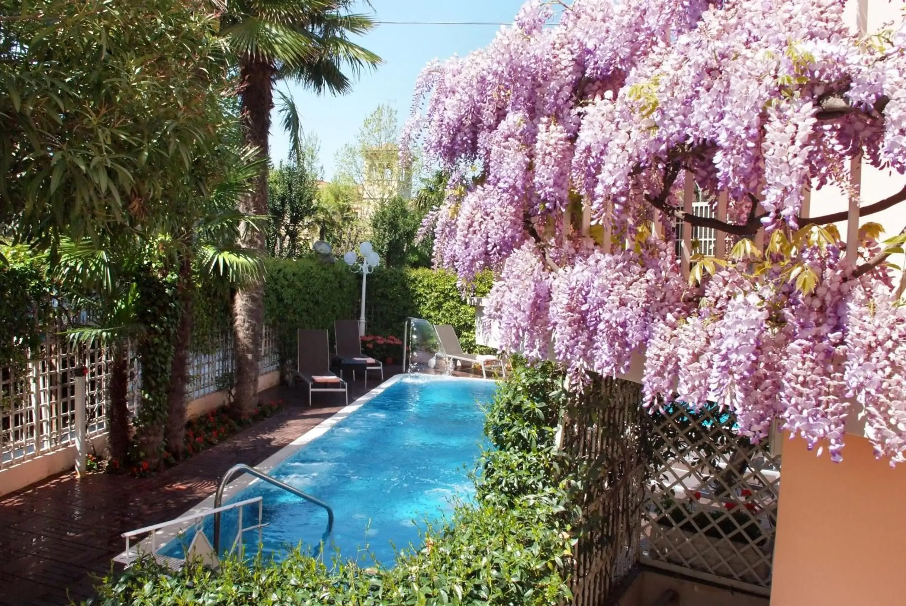 Day, Pool View in Hotel Milton