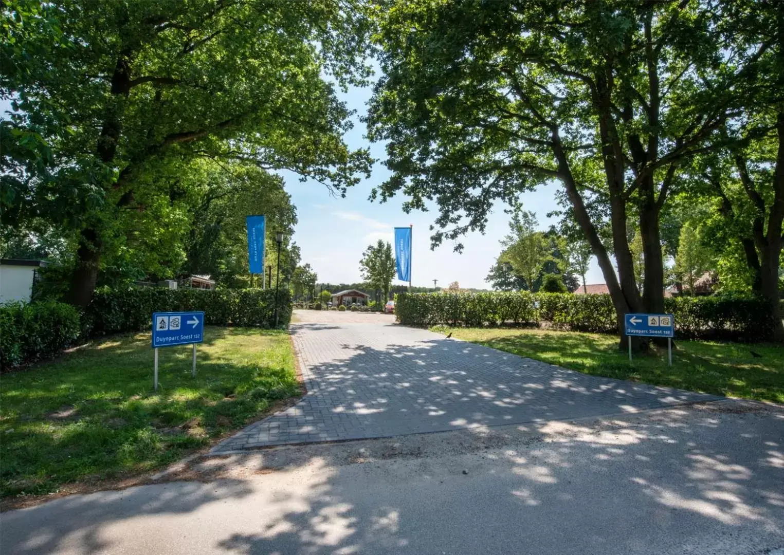 Garden in Duynparc Soest