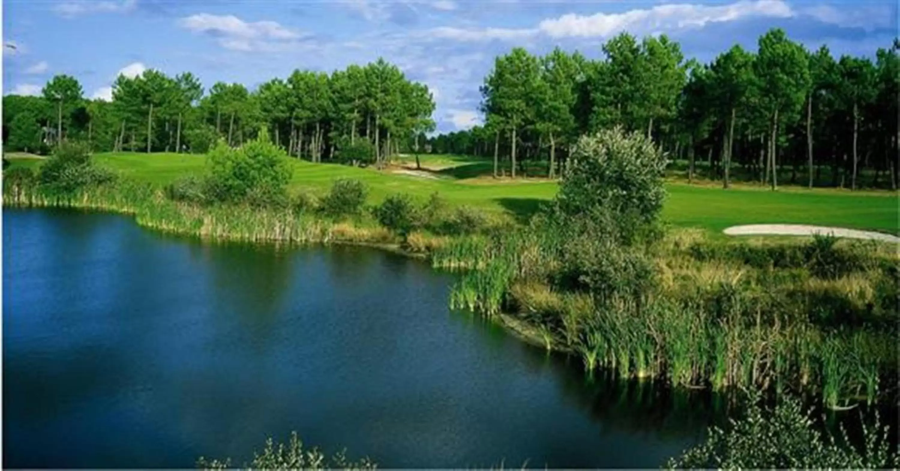 Golfcourse in Holiday Inn Bordeaux Sud - Pessac, an IHG Hotel