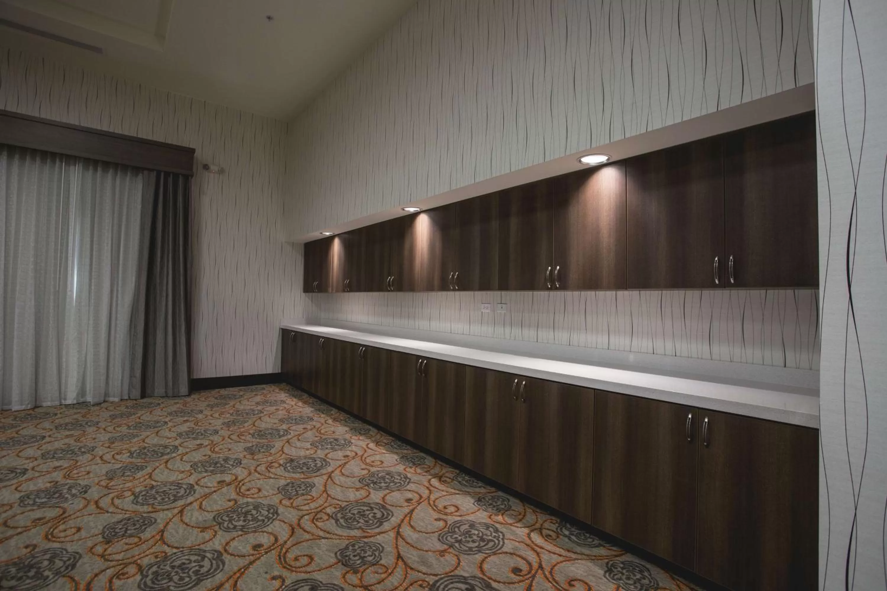 Meeting/conference room in Hilton Garden Inn Bolingbrook I-55