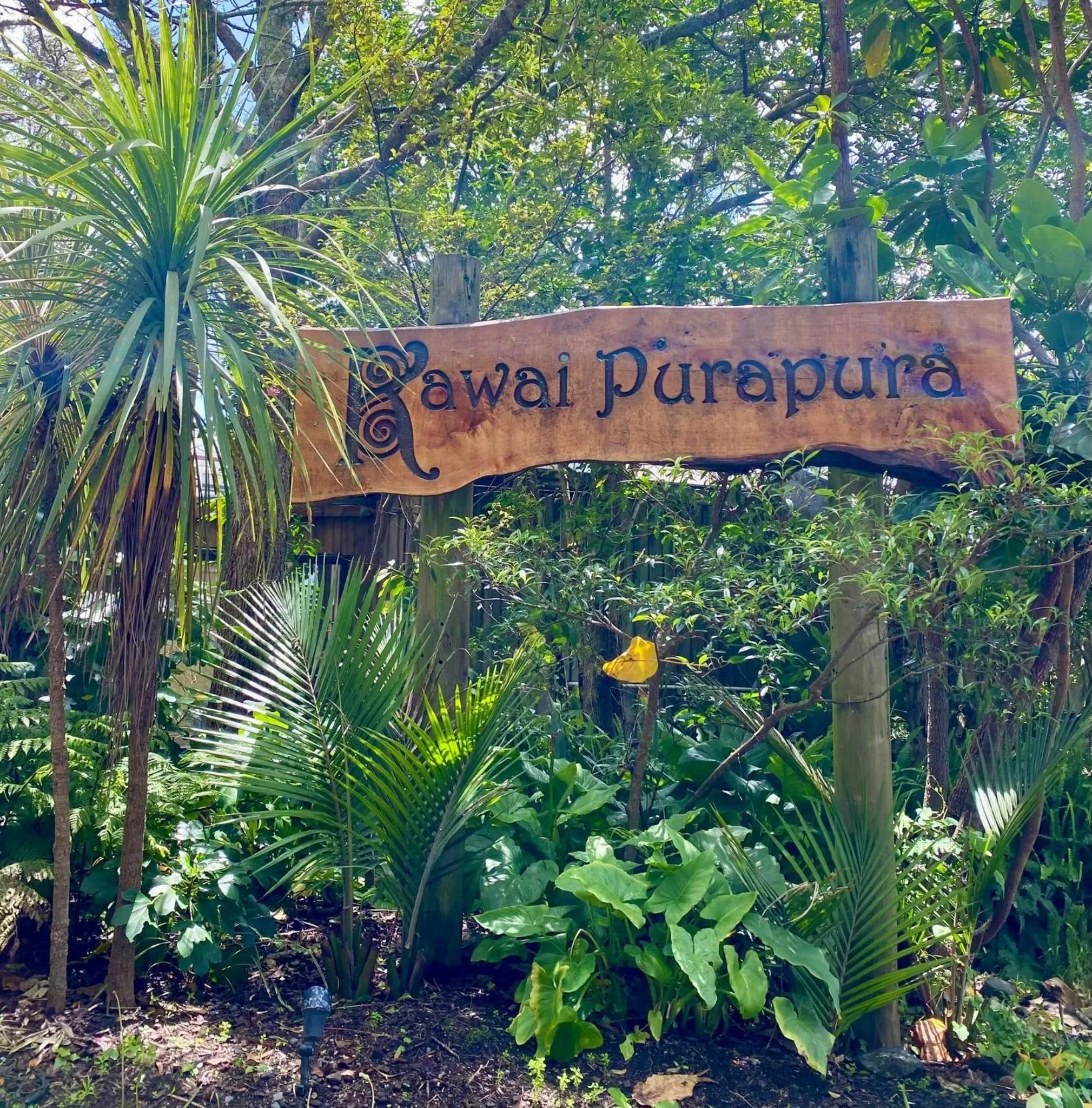 Property building in Kawai Purapura Yoga Retreat Centre