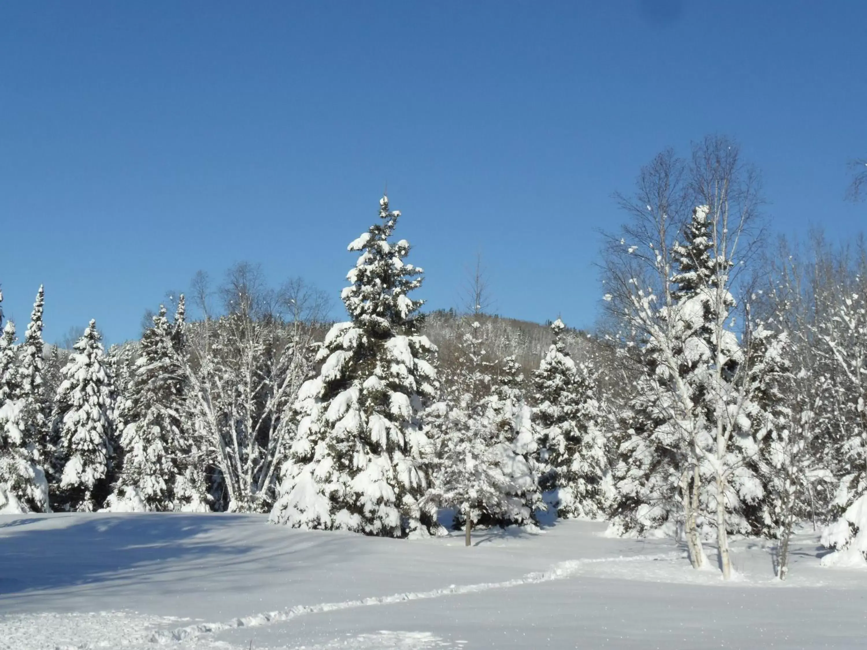 Winter in Auberge le Relais des Hautes Gorges