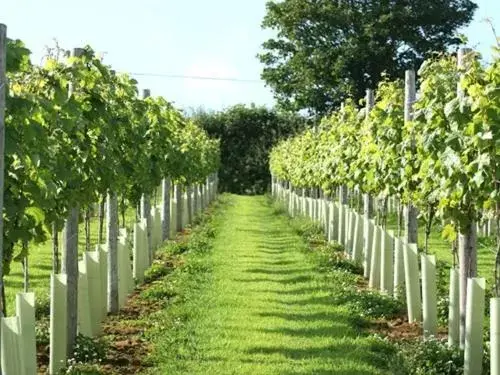 View (from property/room), Garden in Lobhill Farmhouse Bed and Breakfast and Self Catering Accommodation