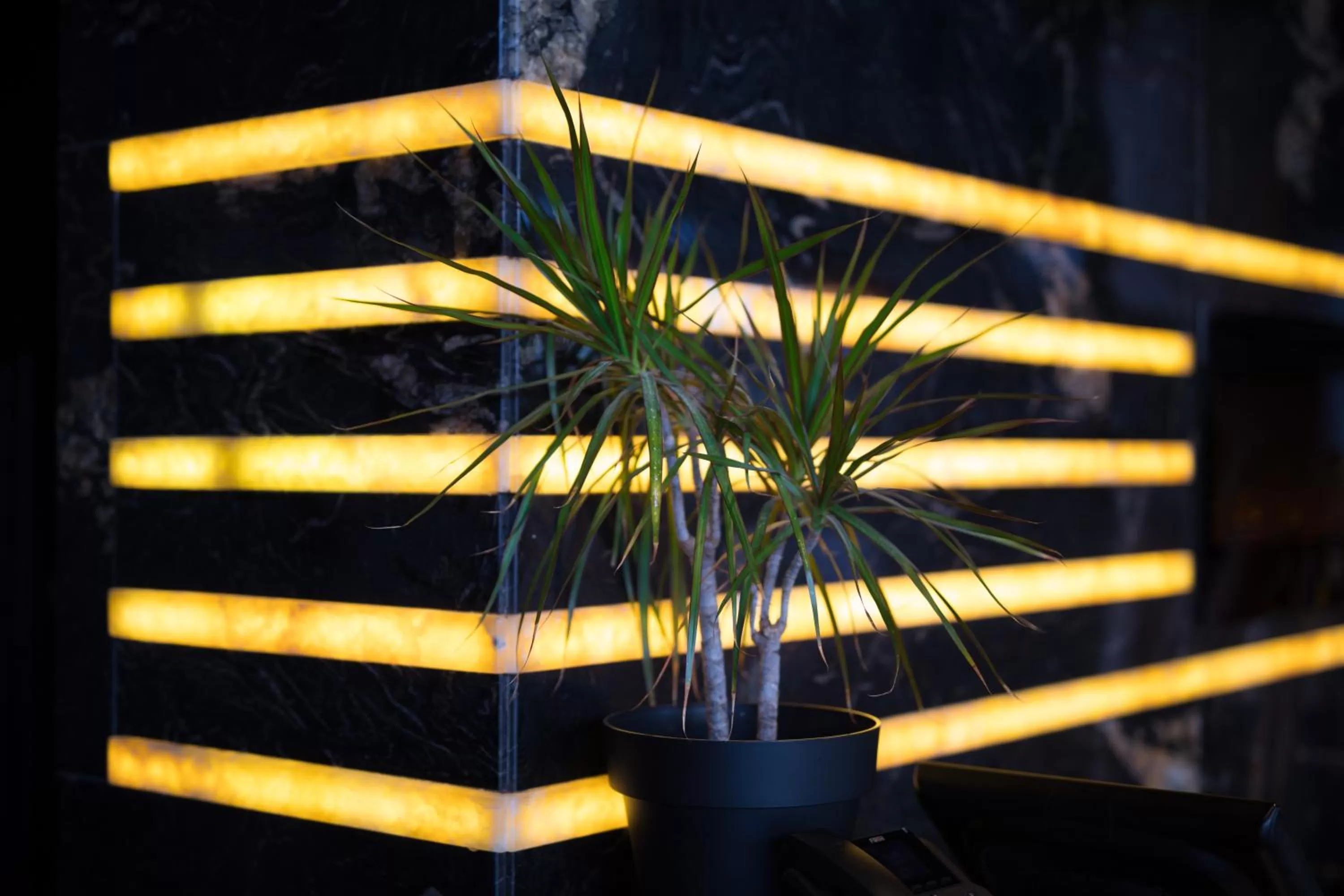 Decorative detail in H Hotel & SPA - Adults Only