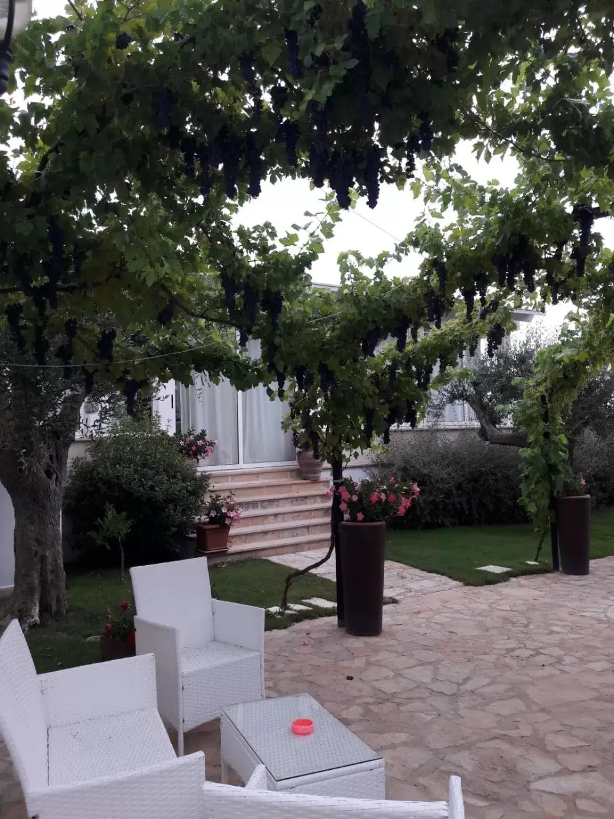 Garden in Villa Caramia