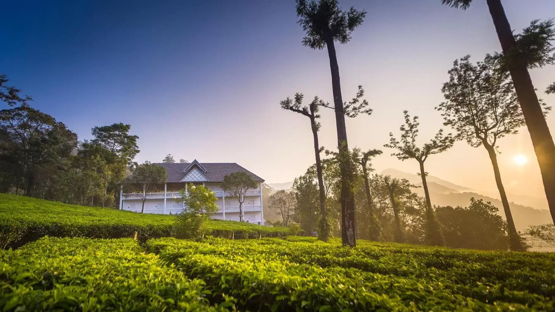 Bird's eye view, Property Building in Tea Harvester