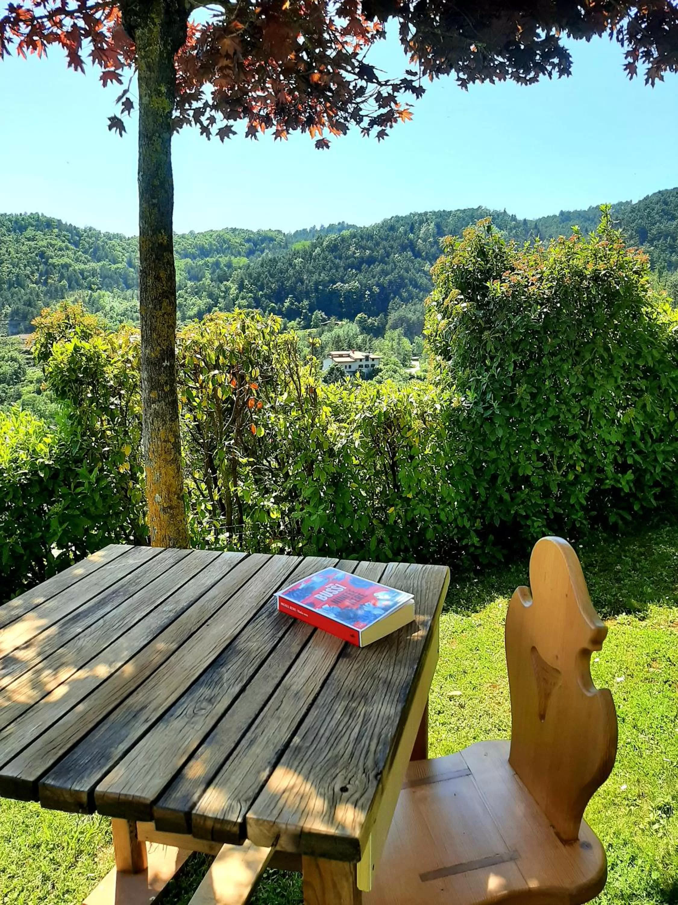 Mountain view in B&B degli Allori