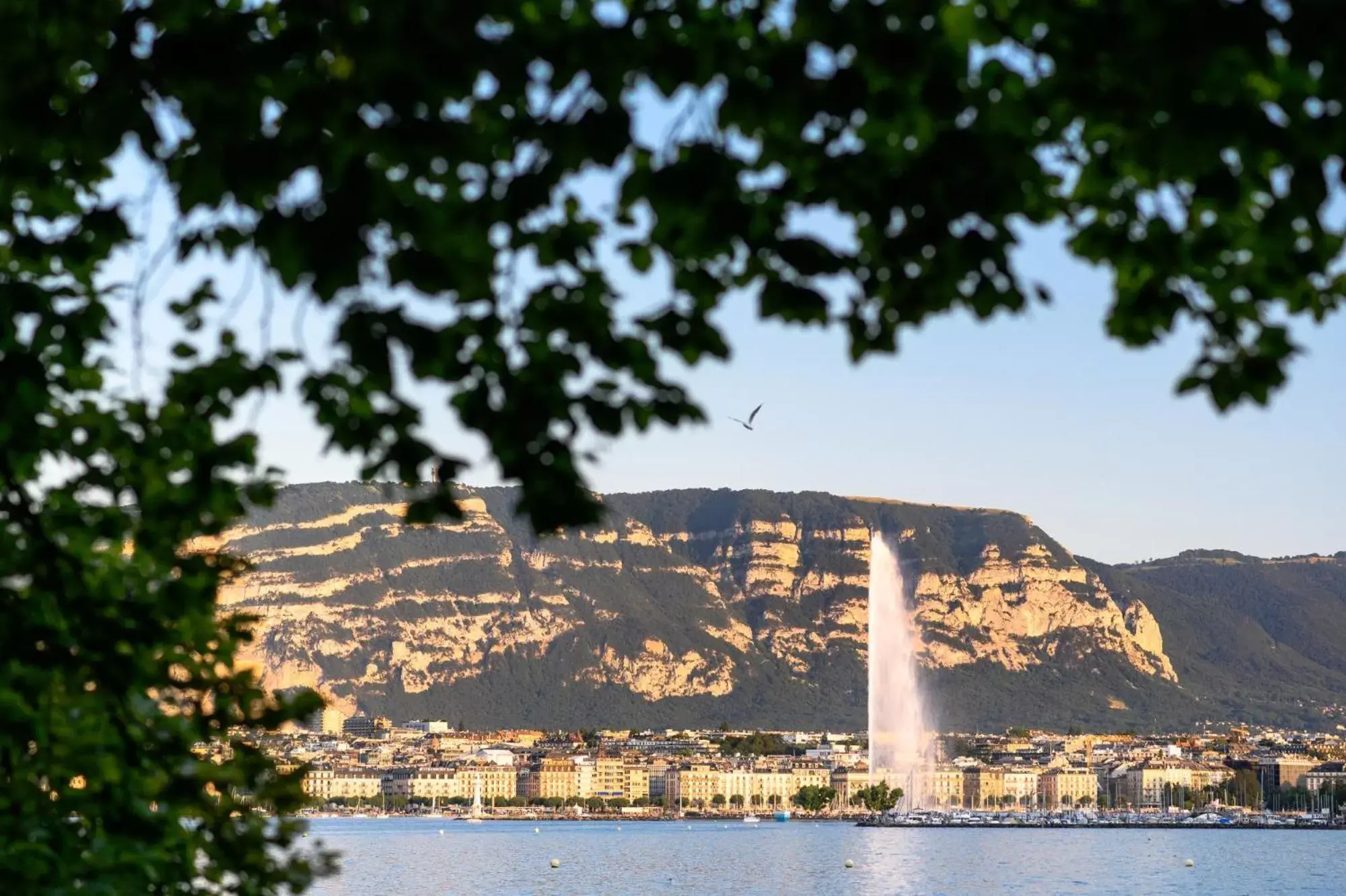 Natural landscape in Hotel Strasbourg