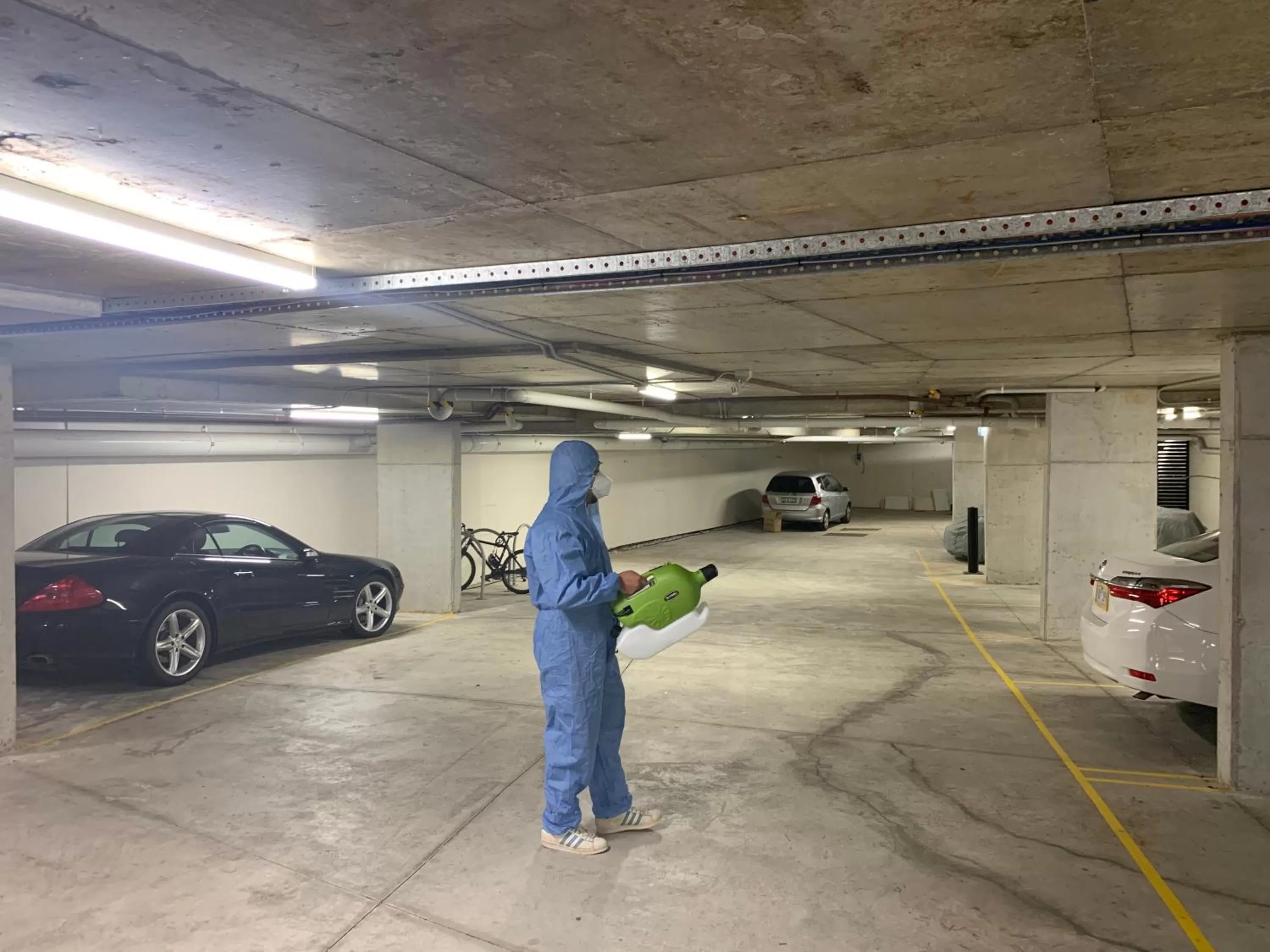 Staff in Seranin | Gordon