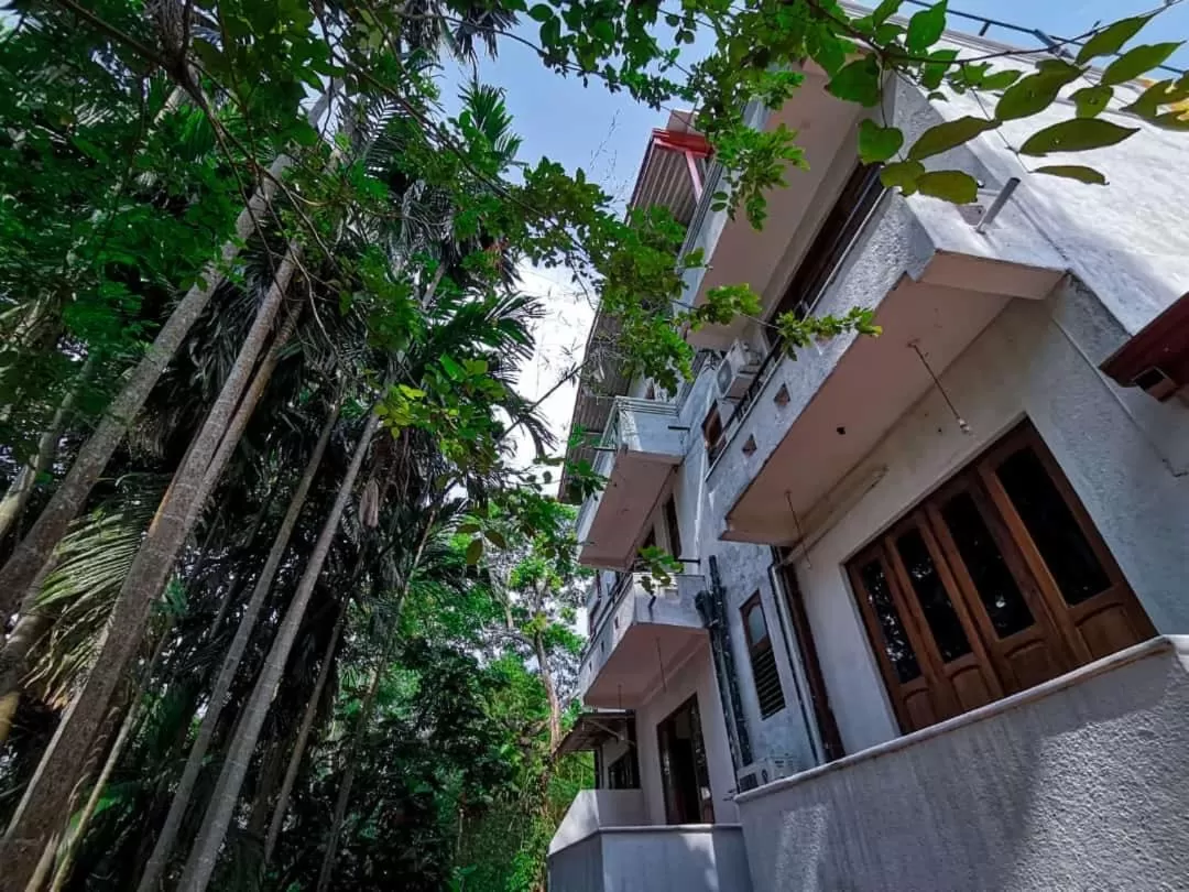 Garden in Divine Villa