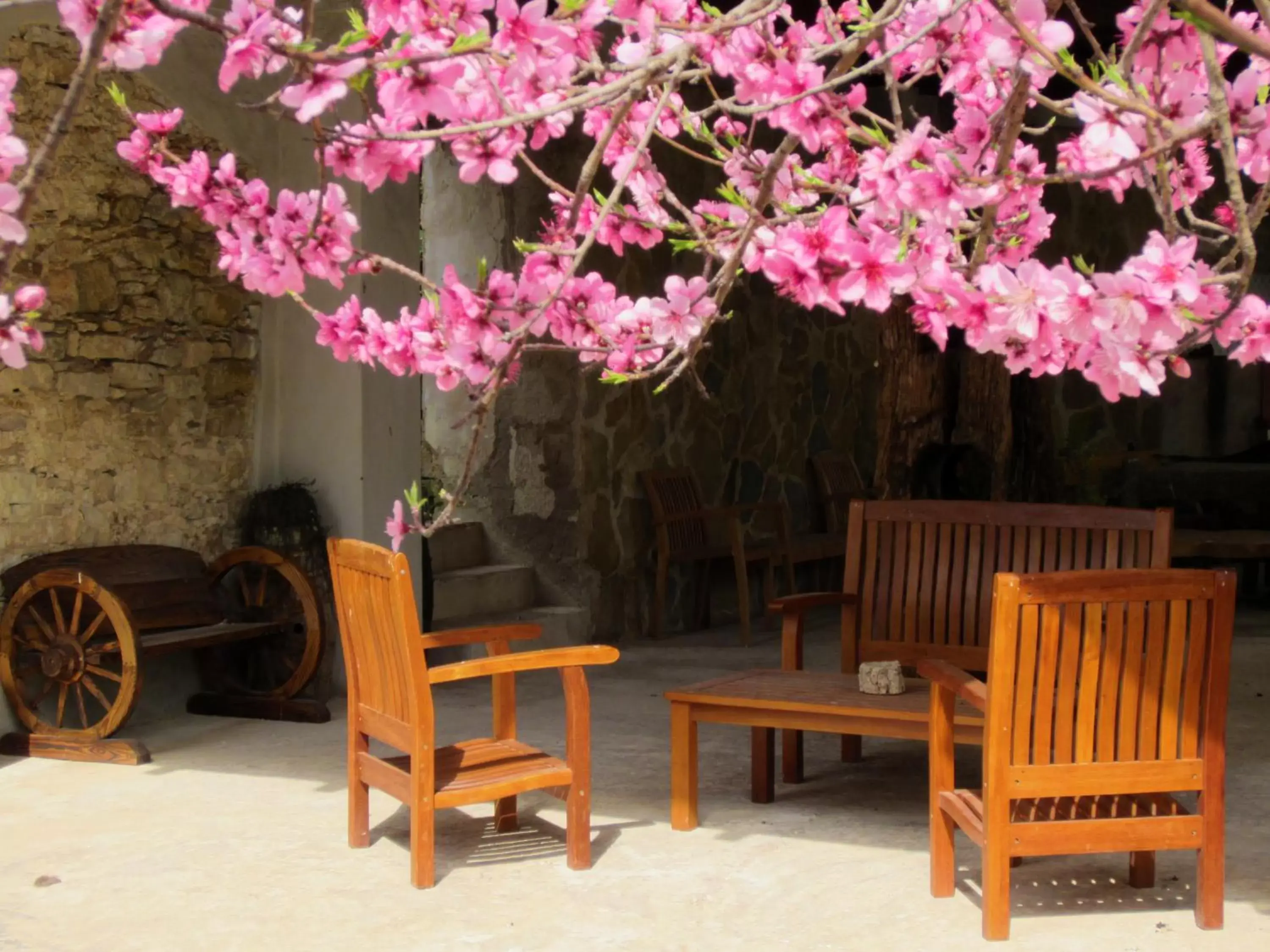 Balcony/Terrace in Xanadu - Villa Giardinata