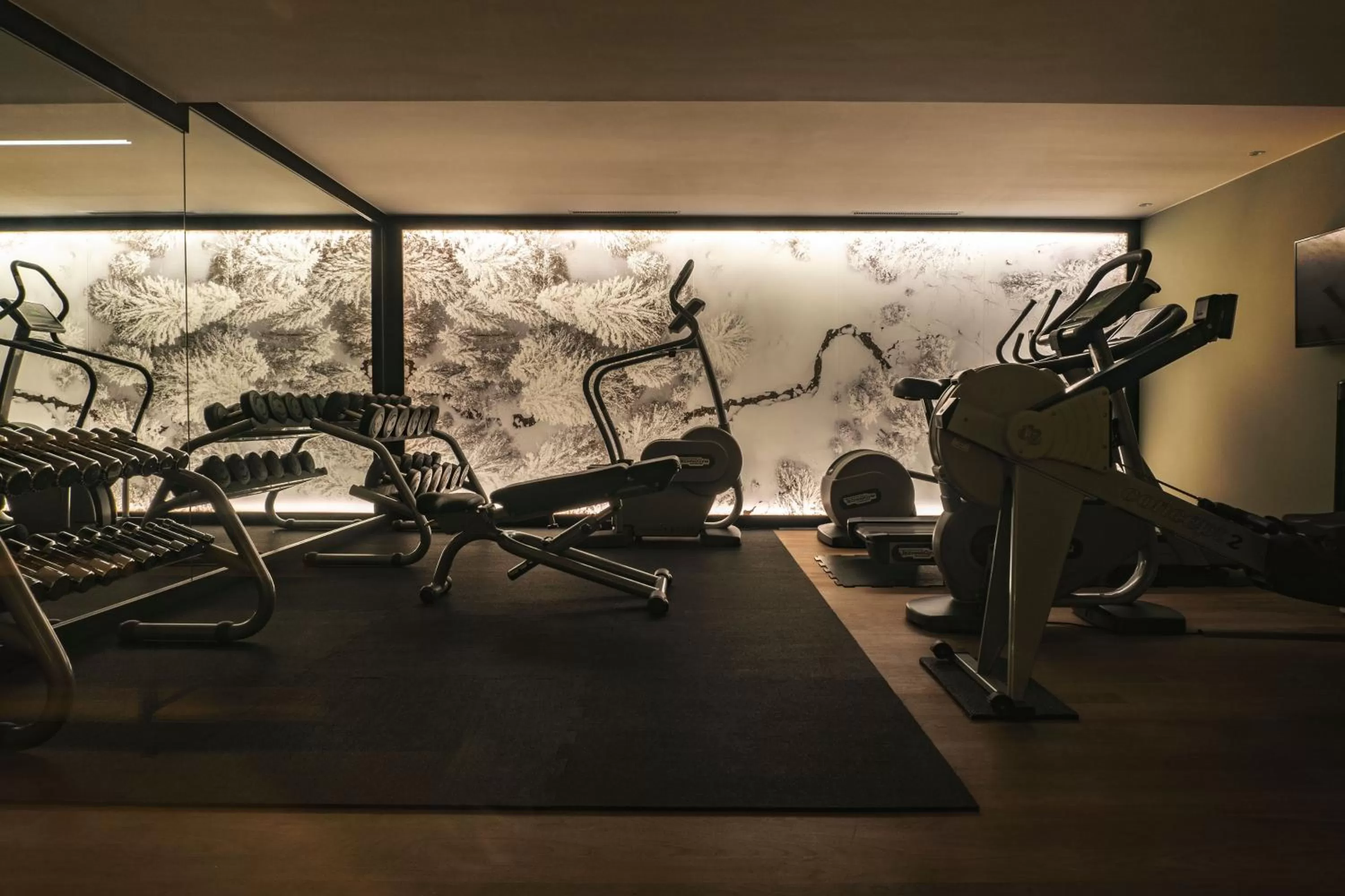 Fitness centre/facilities in The Cambrian