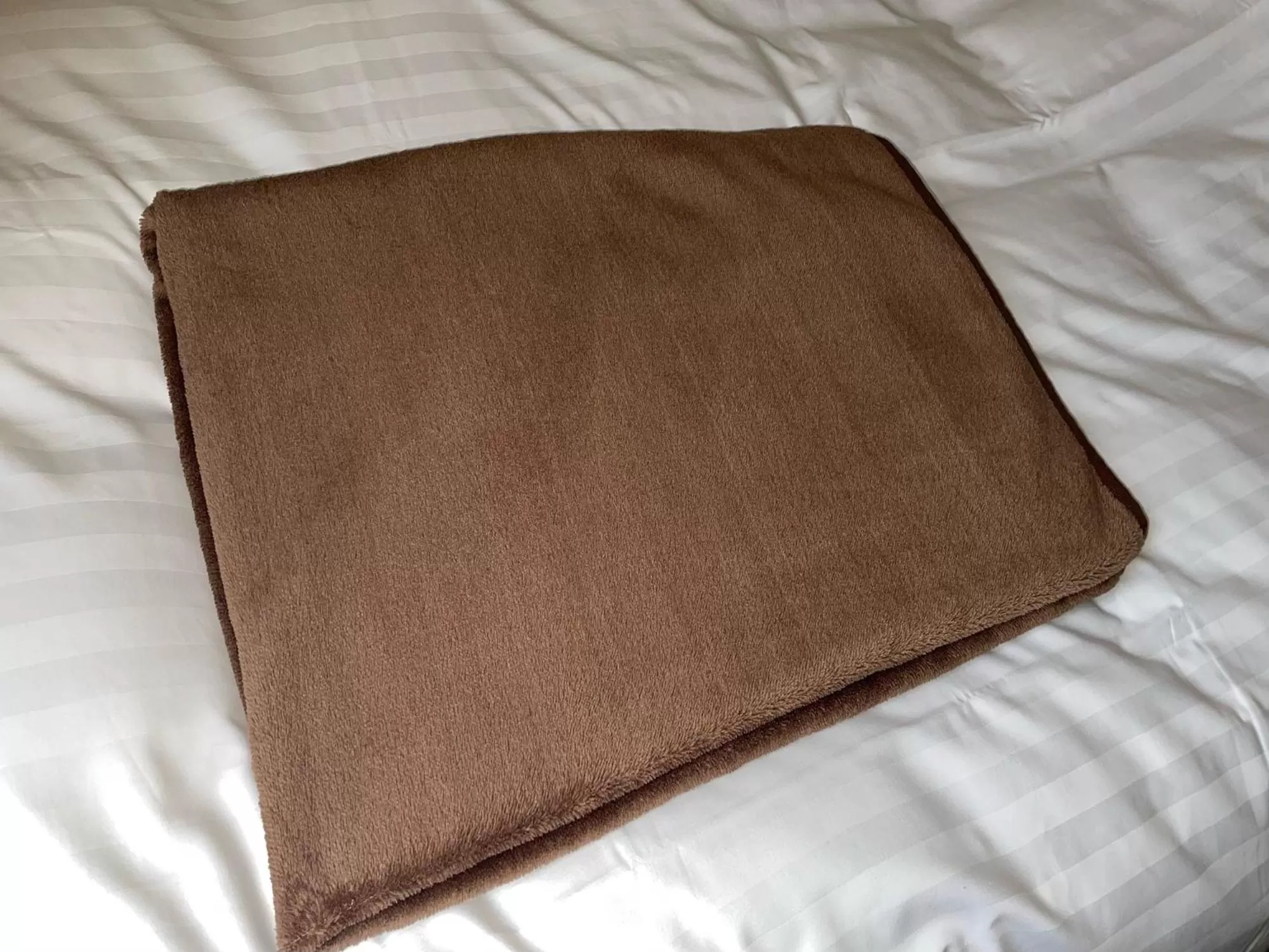 Area and facilities in Oita Regal Hotel