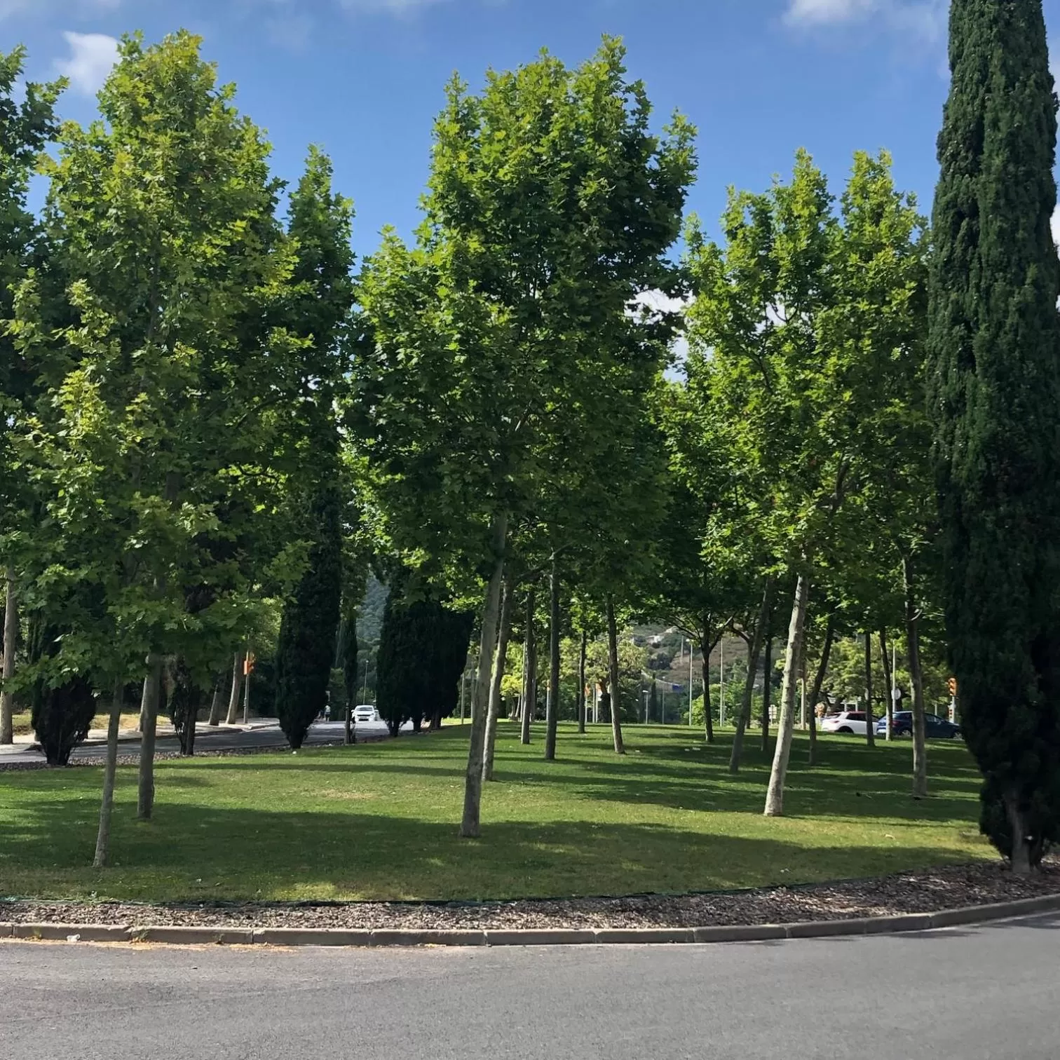 Neighbourhood in Colors