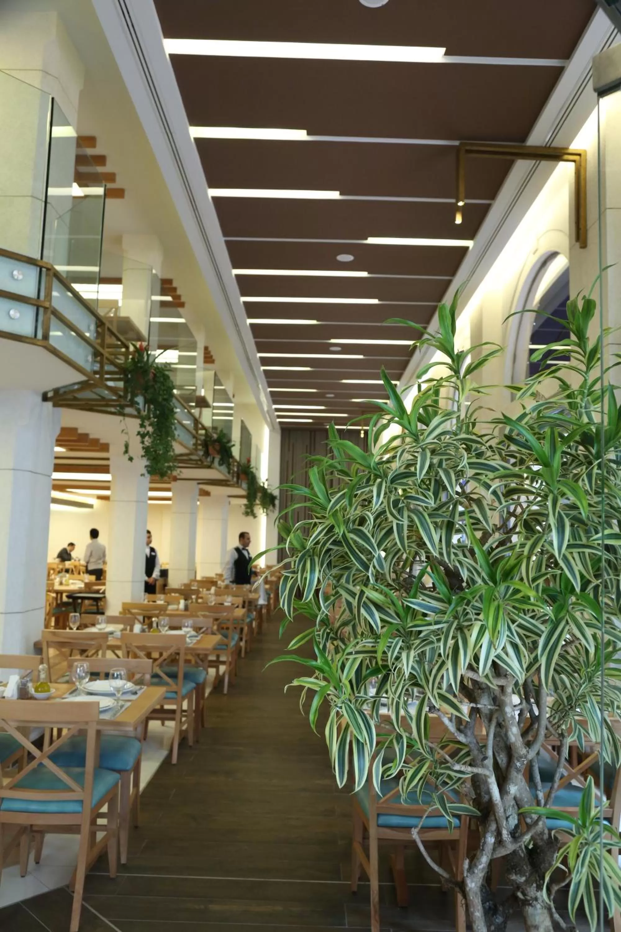 Restaurant/places to eat in Serenada Golden Palace - Boutique Hotel