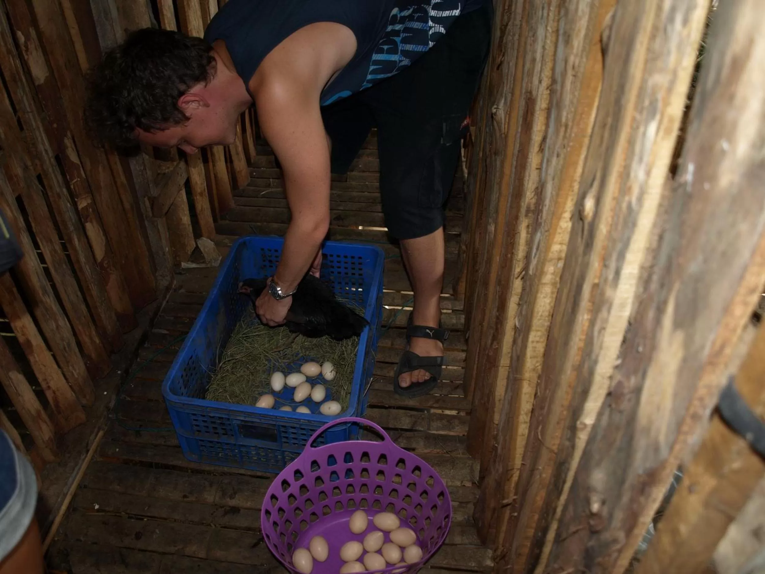 Guests in Khao Sok Palmview Resort