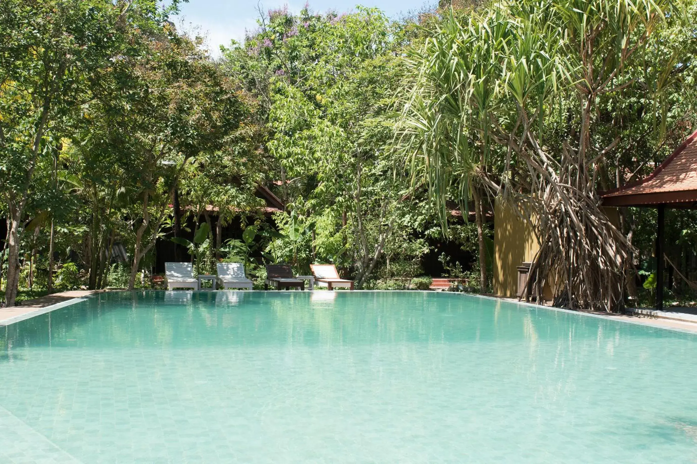 Garden, Swimming Pool in Palm Village Resort & Spa