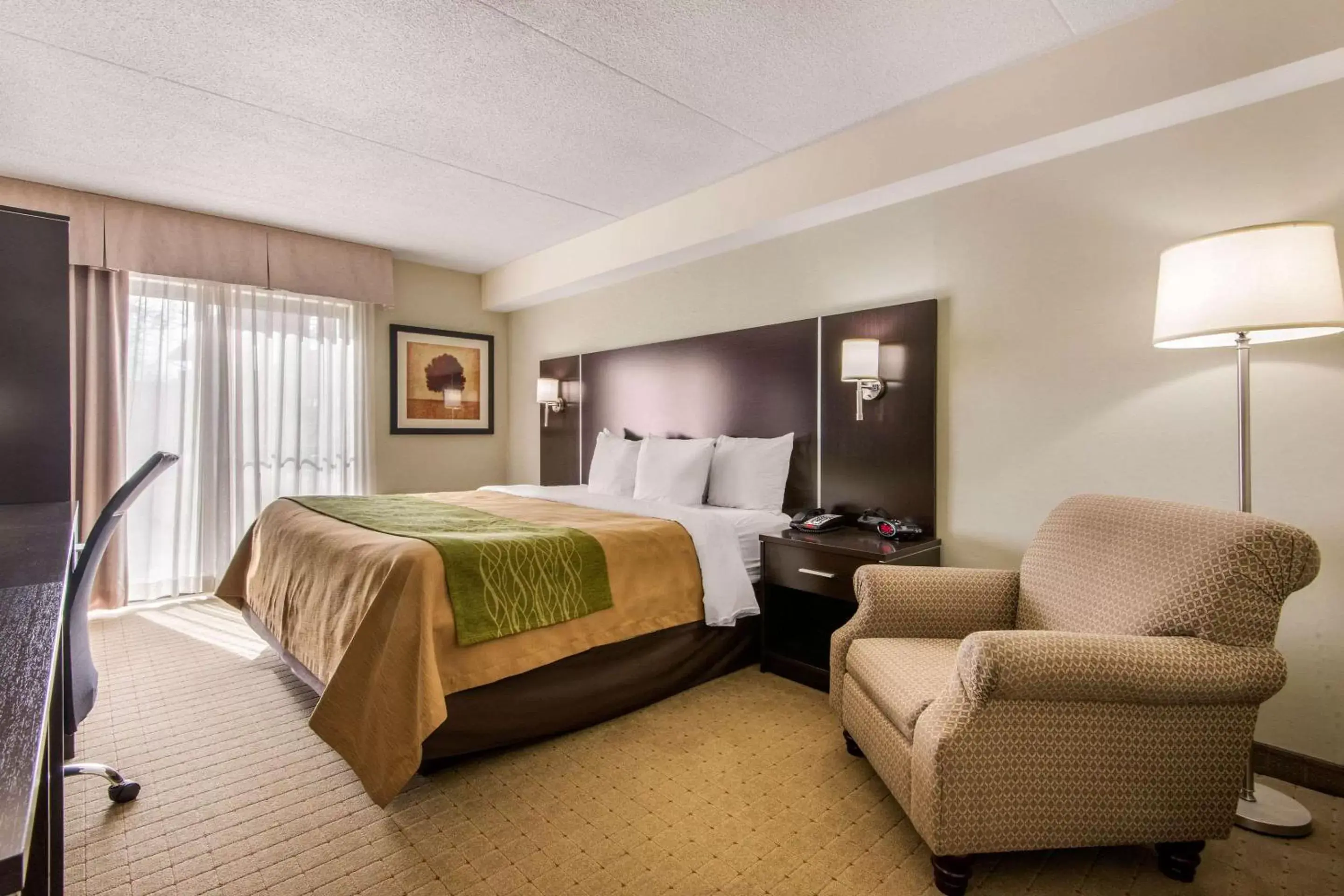 Photo of the whole room in Comfort Inn Airport West
