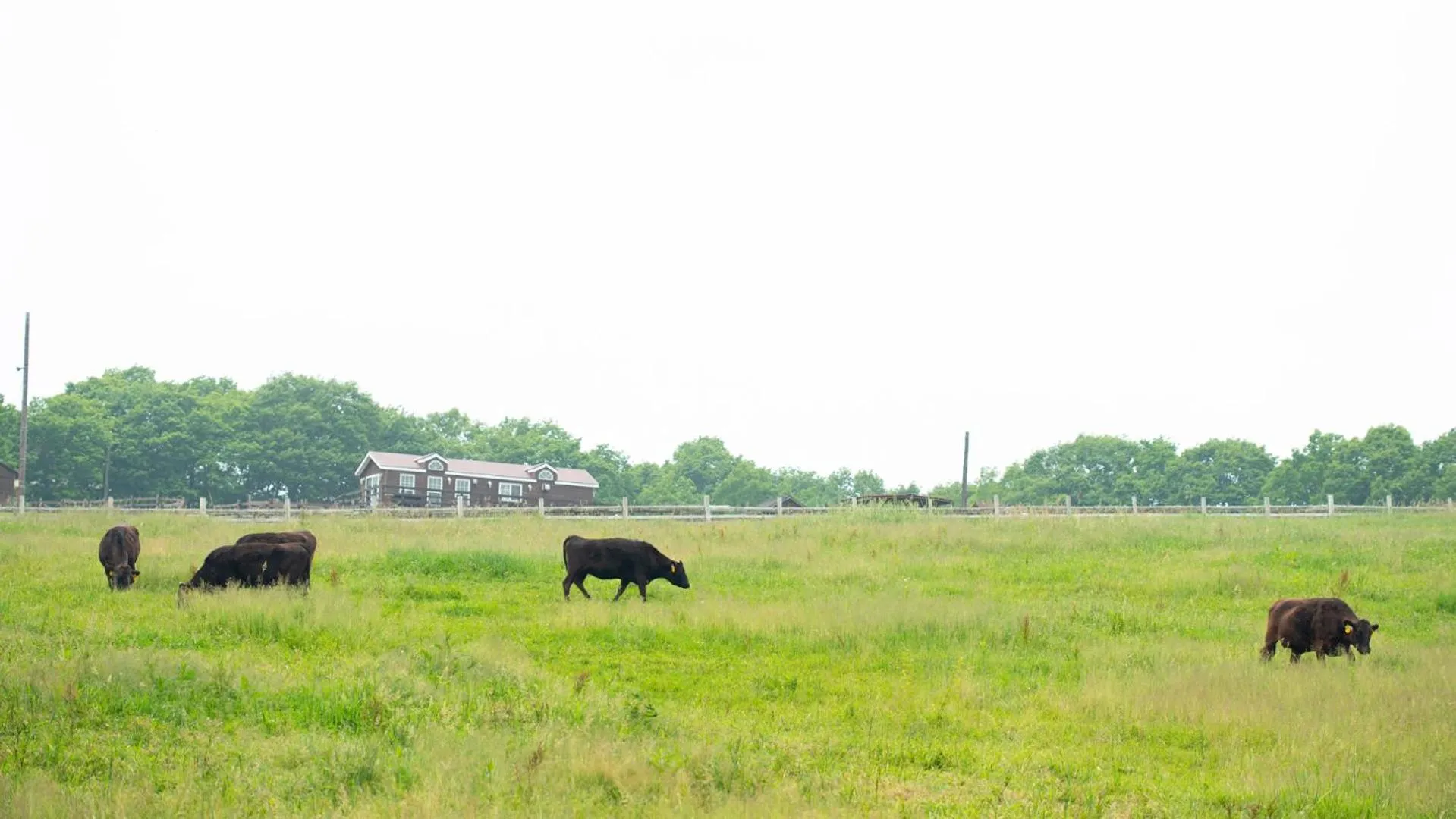 Off site in Hotel Floracion Nasu