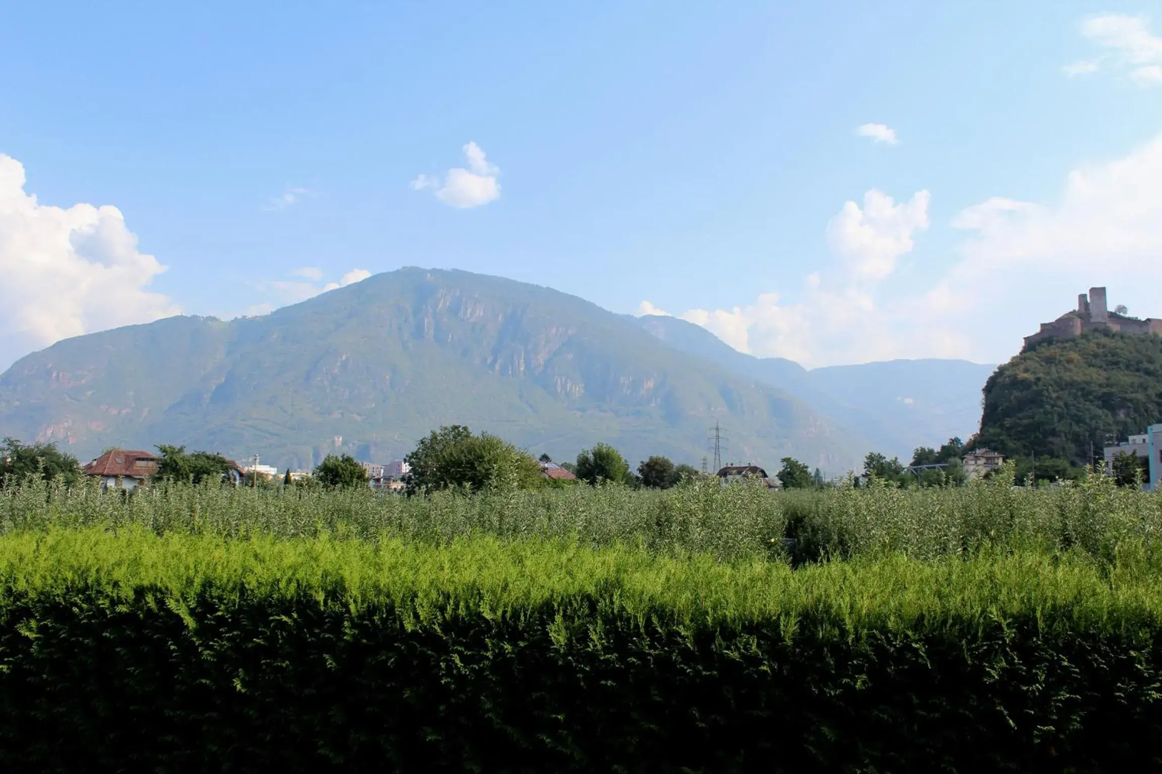 Balcony/Terrace, Mountain View in Gardenhotel Premstaller