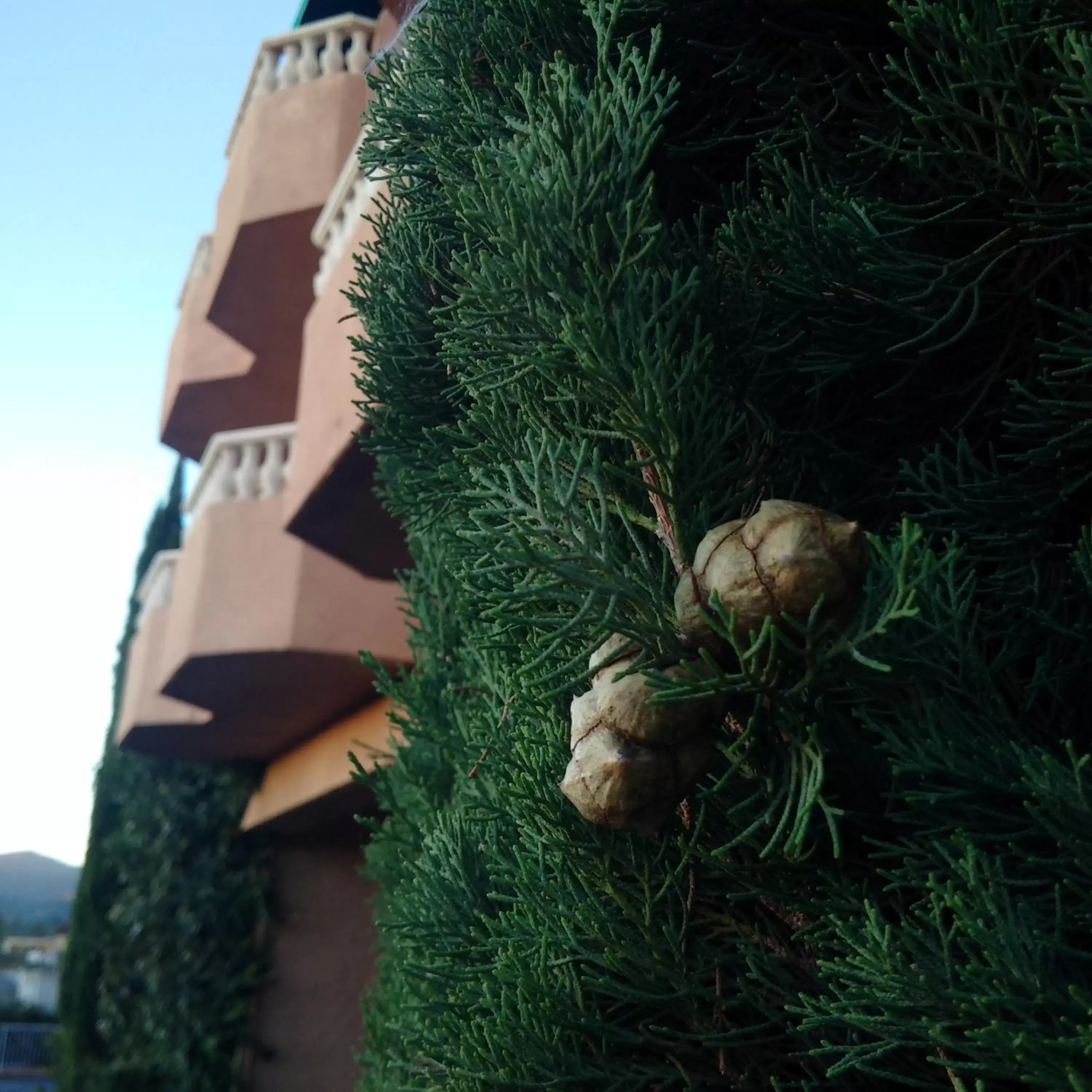 Facade/entrance, Property Building in Forest Villas Hotel