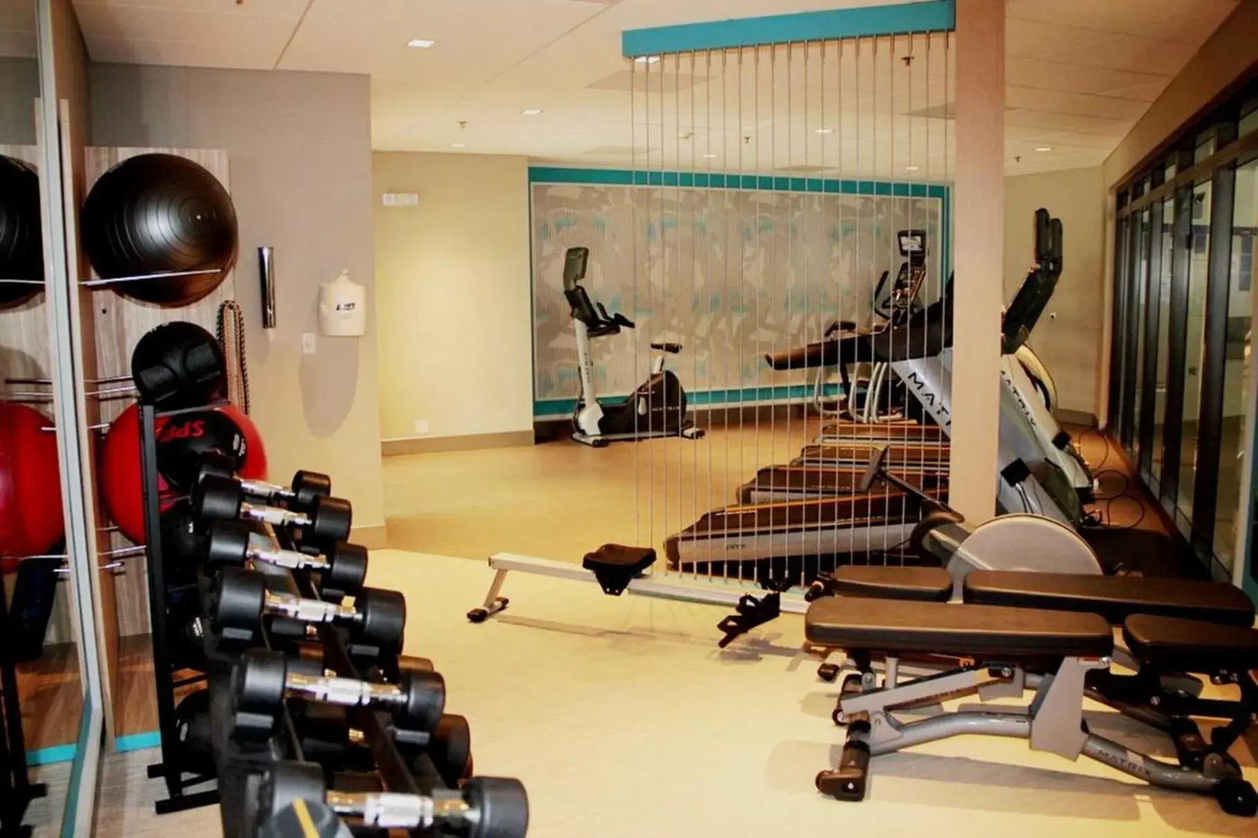 Fitness centre/facilities, Fitness Center/Facilities in Crowne Plaza Dulles Airport, an IHG Hotel