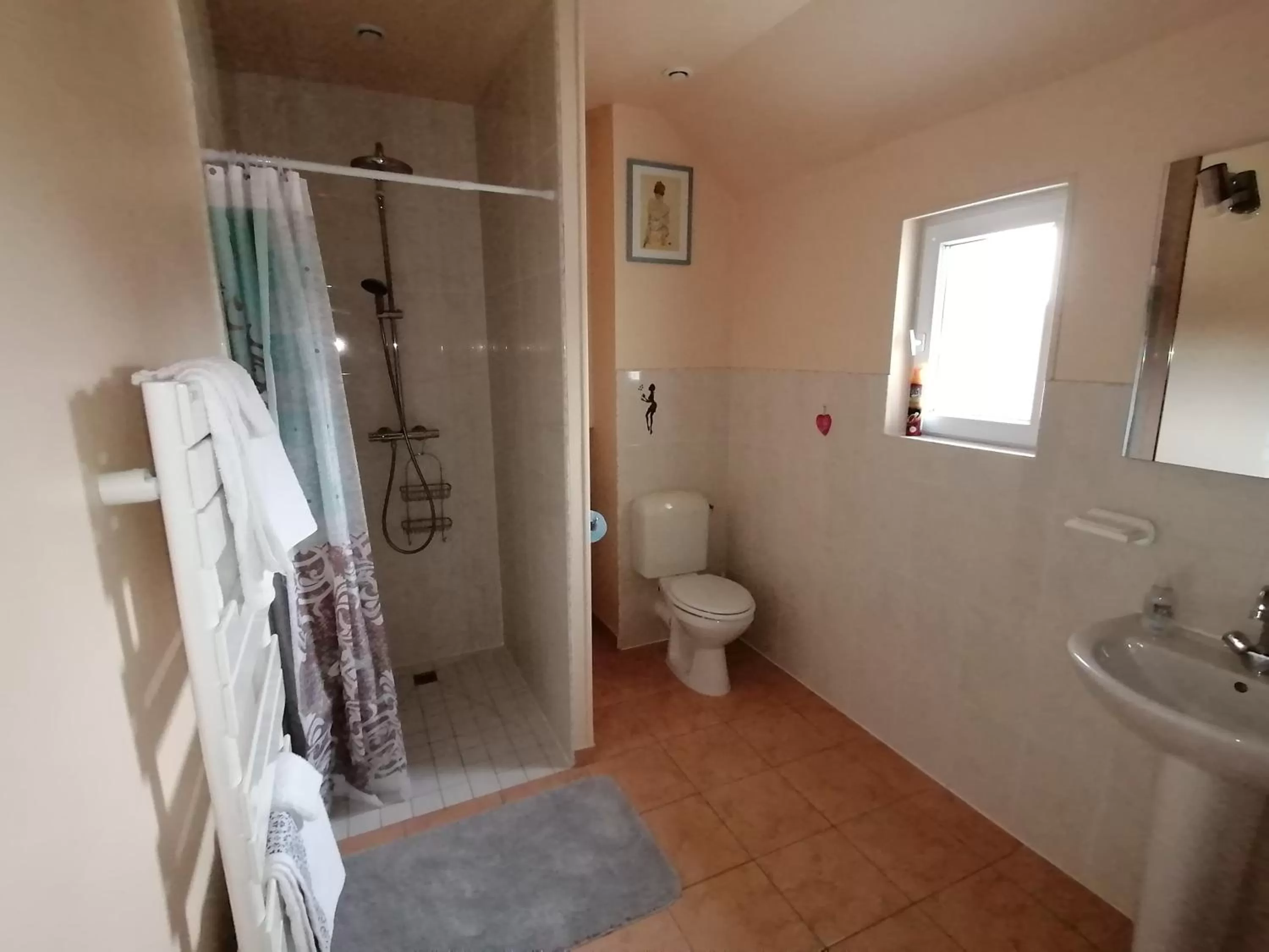 Bathroom in La Parisière