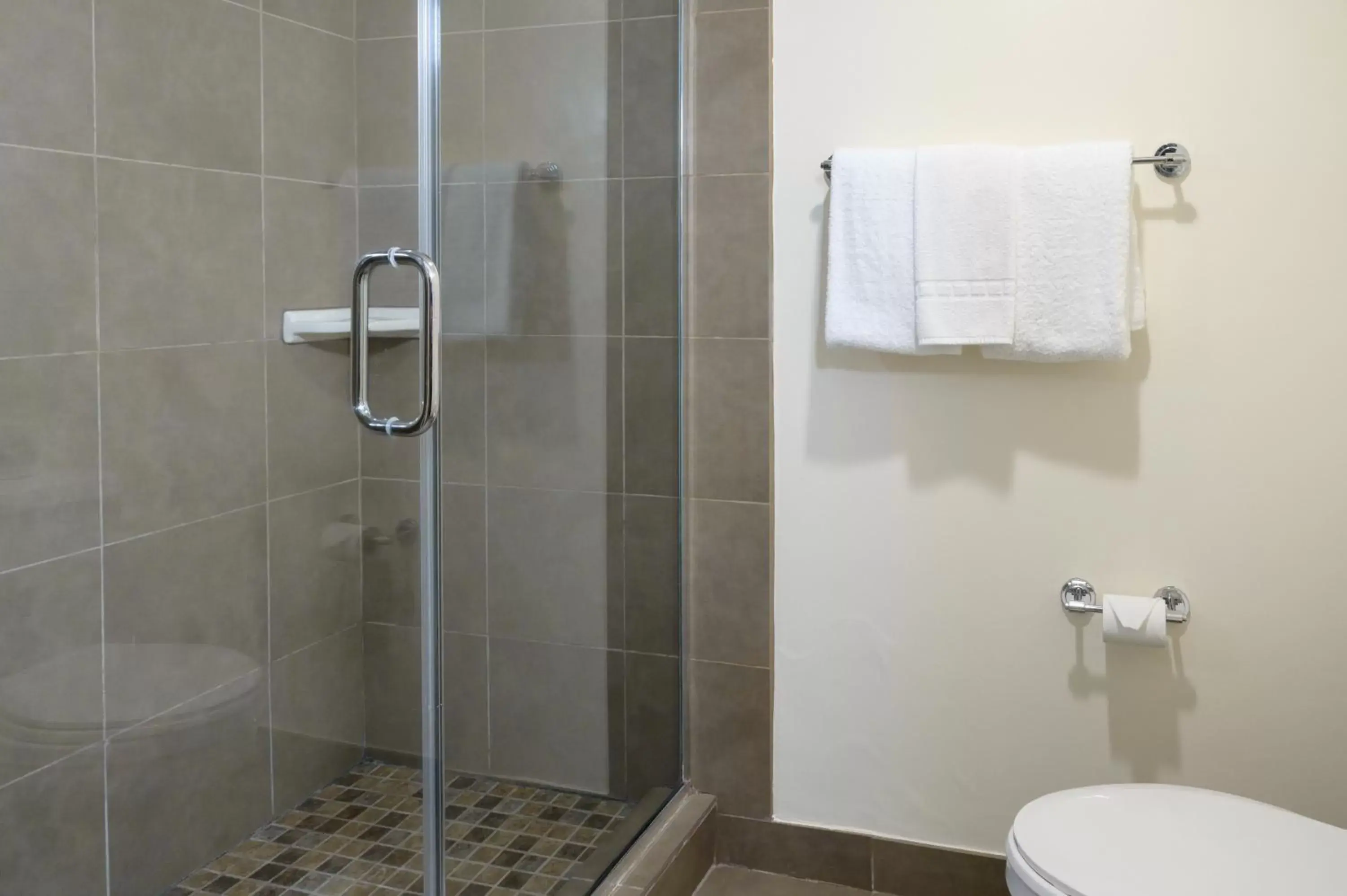 Shower, Bathroom in Airtel Plaza Hotel