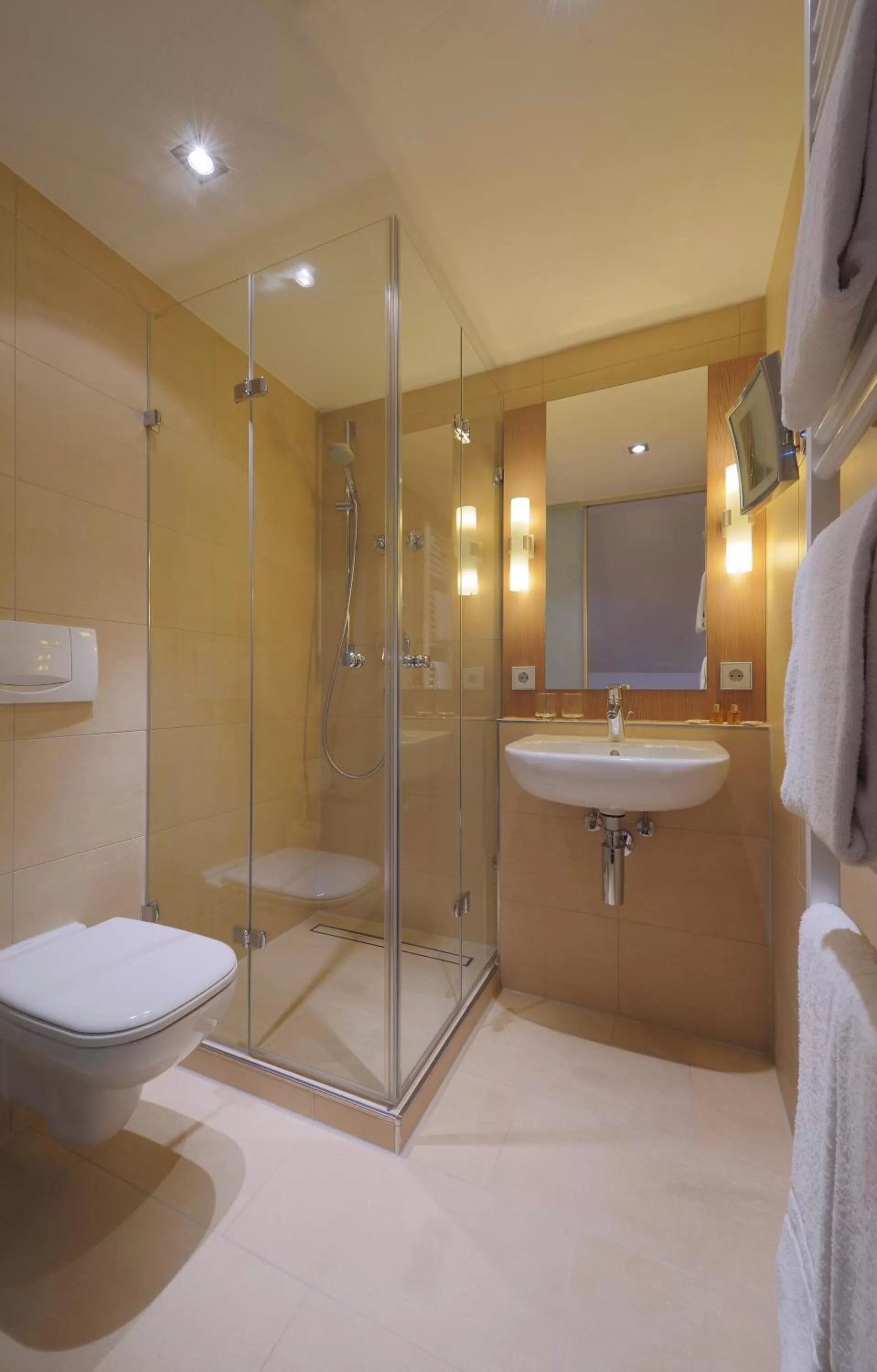 Bathroom in Alemannenhof - Boutique Hotel am Titisee