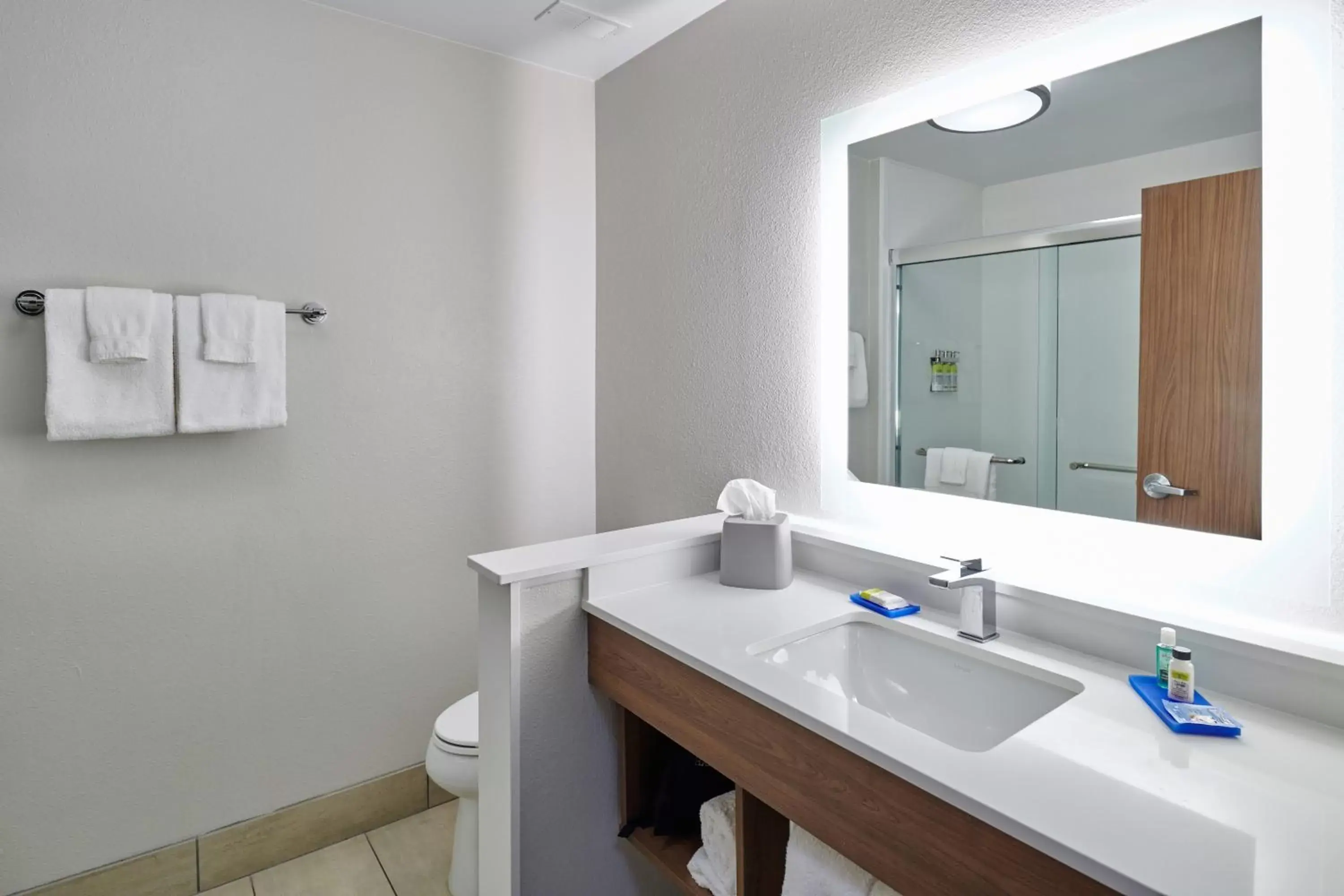 Bathroom in Holiday Inn Express & Suites El Paso East-Loop 375, an IHG Hotel