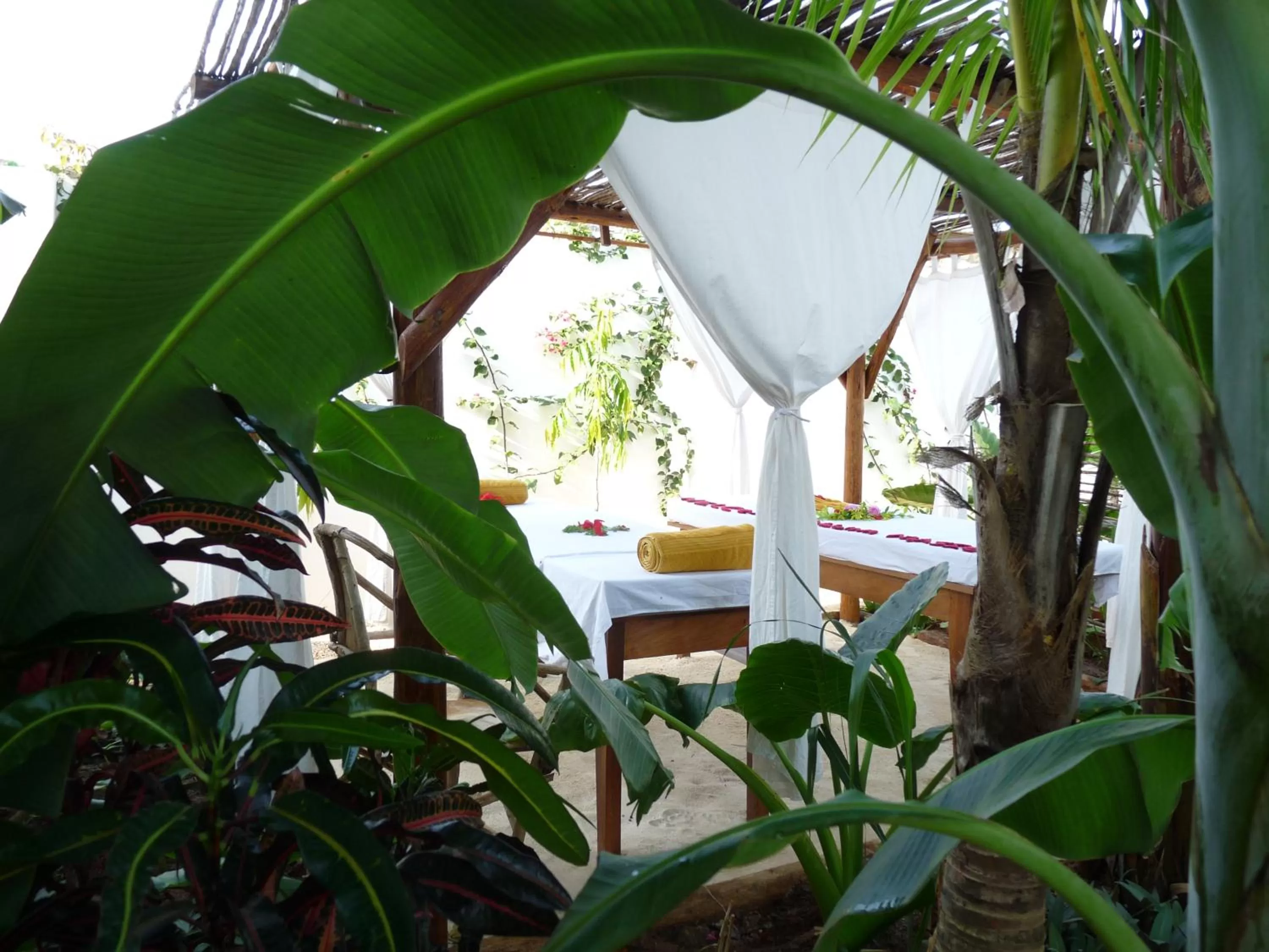 Area and facilities in Aluna Nungwi