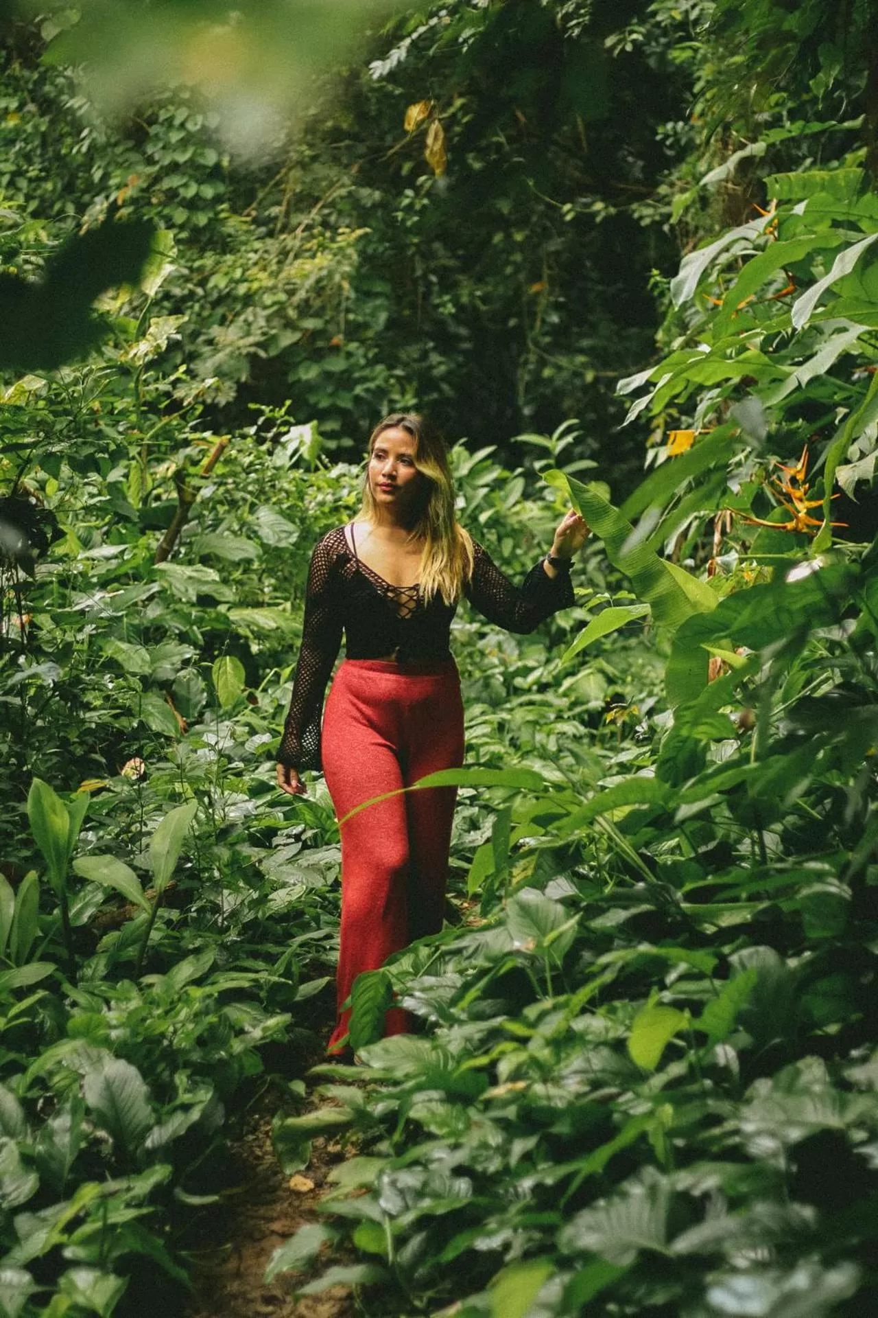 Hiking in Saboga Lodge