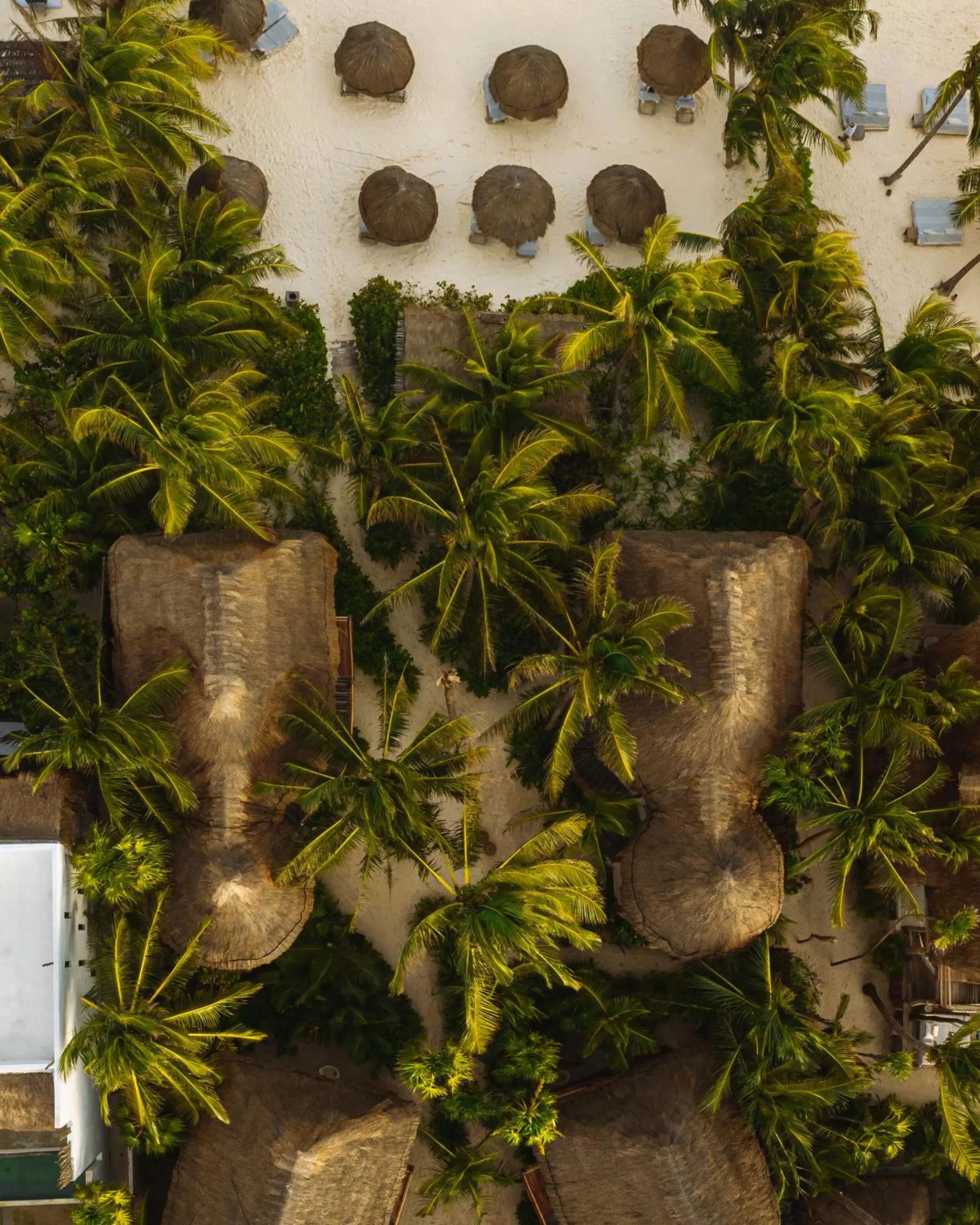 Garden in Encantada Tulum