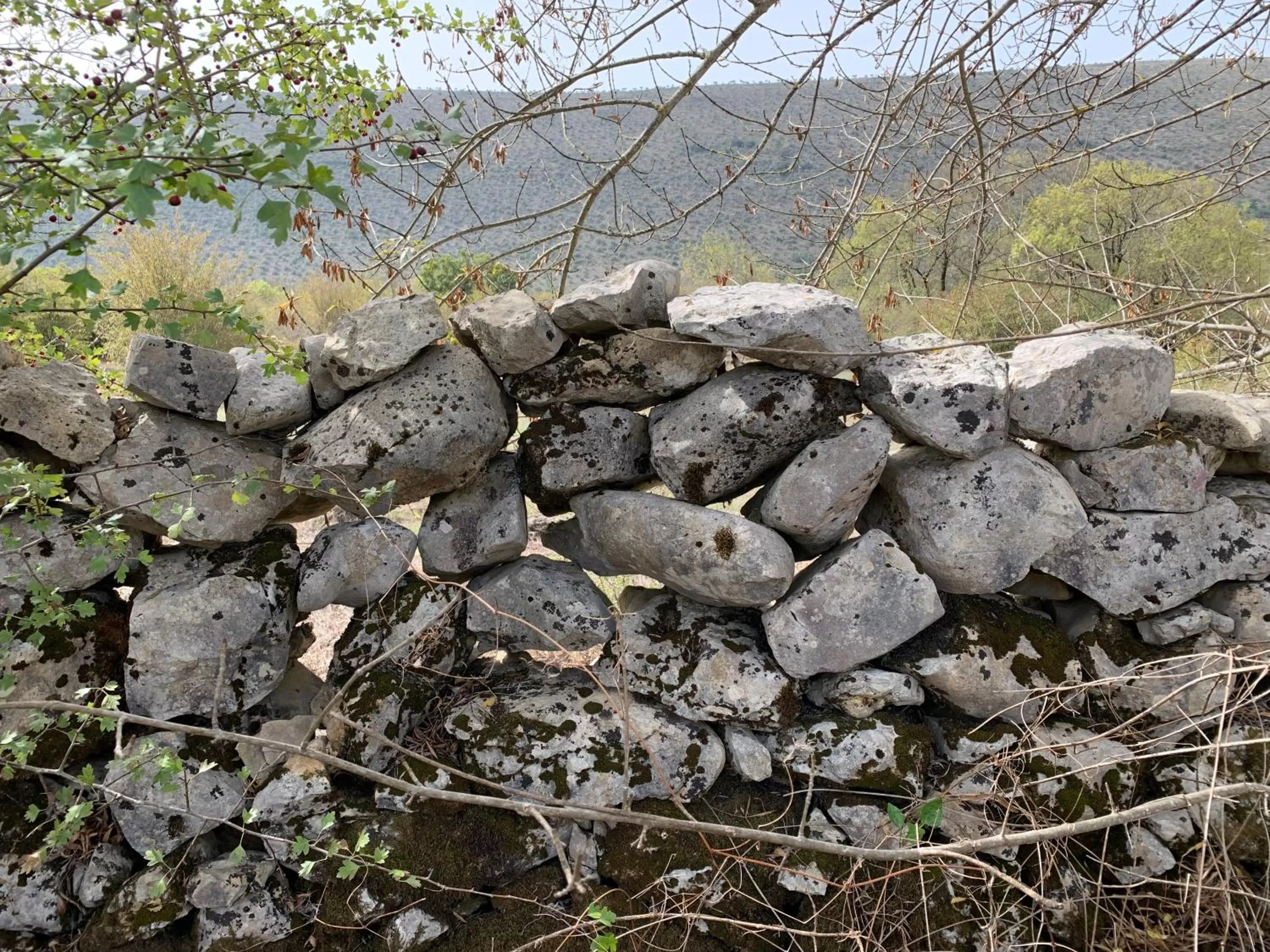 Nearby landmark in Hotel Dom Goncalo & Spa