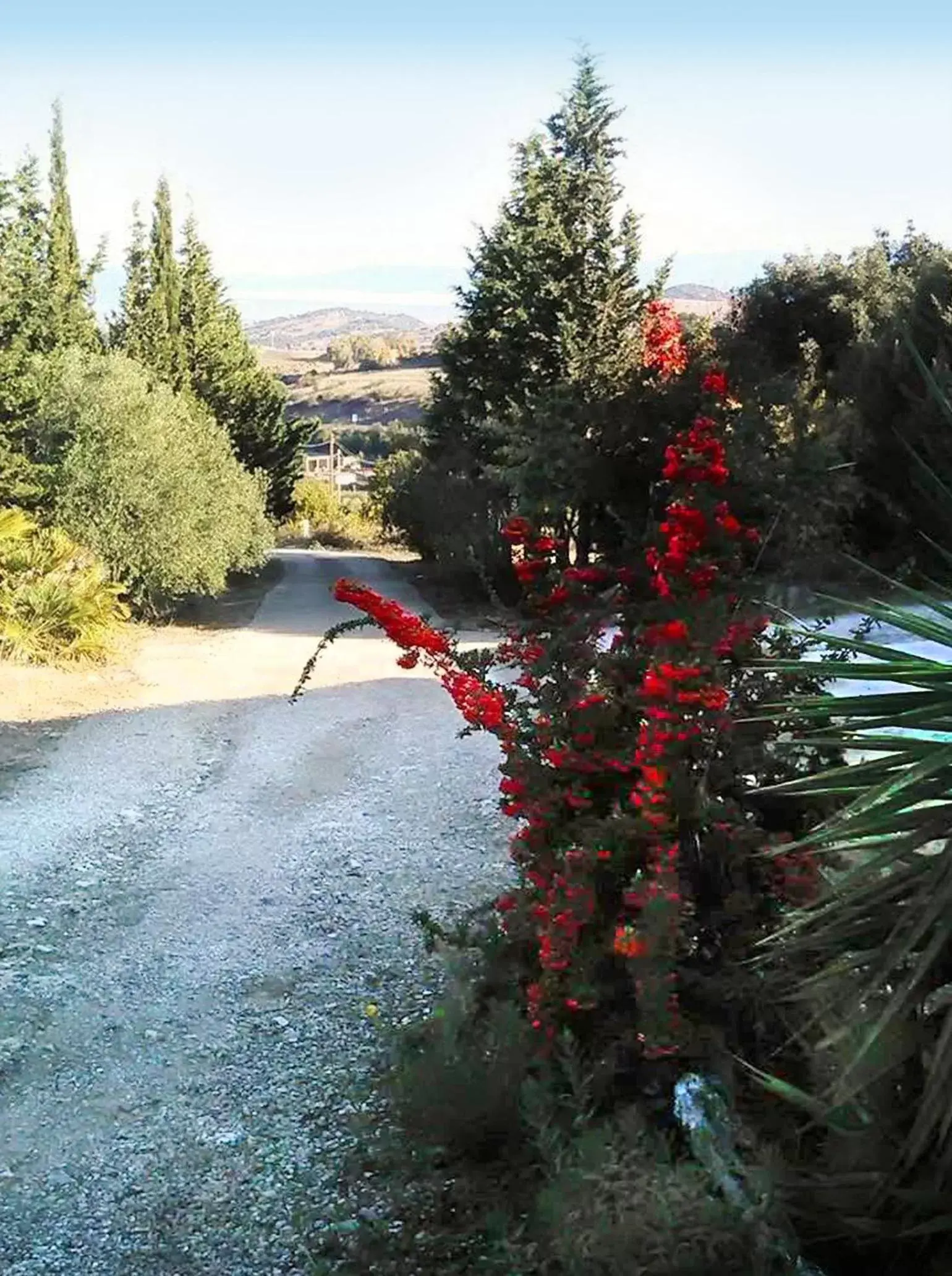 Street view in Casa d' Artista B&B