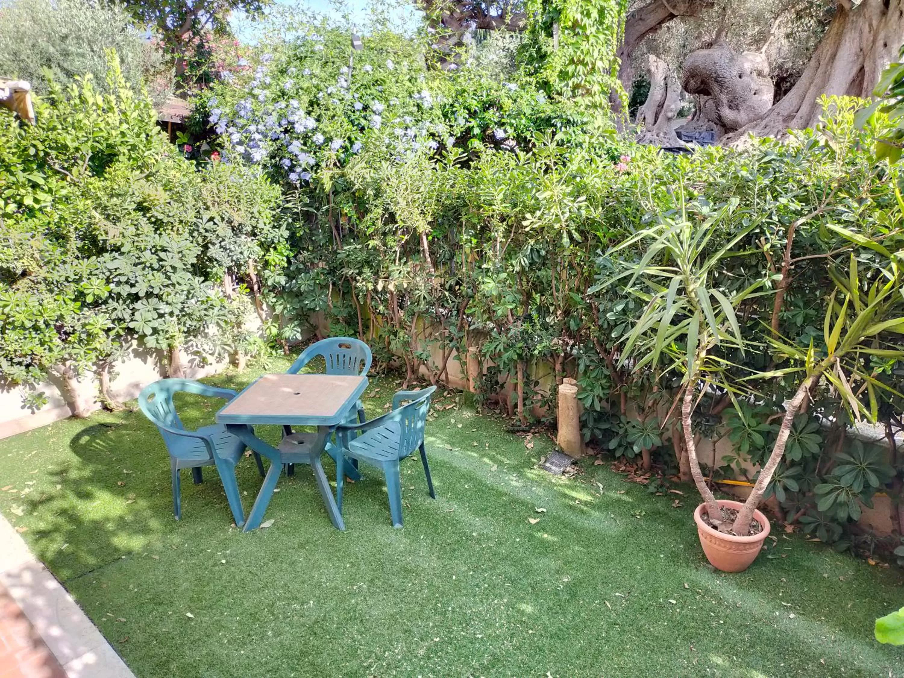 Garden in B&B Le Palme