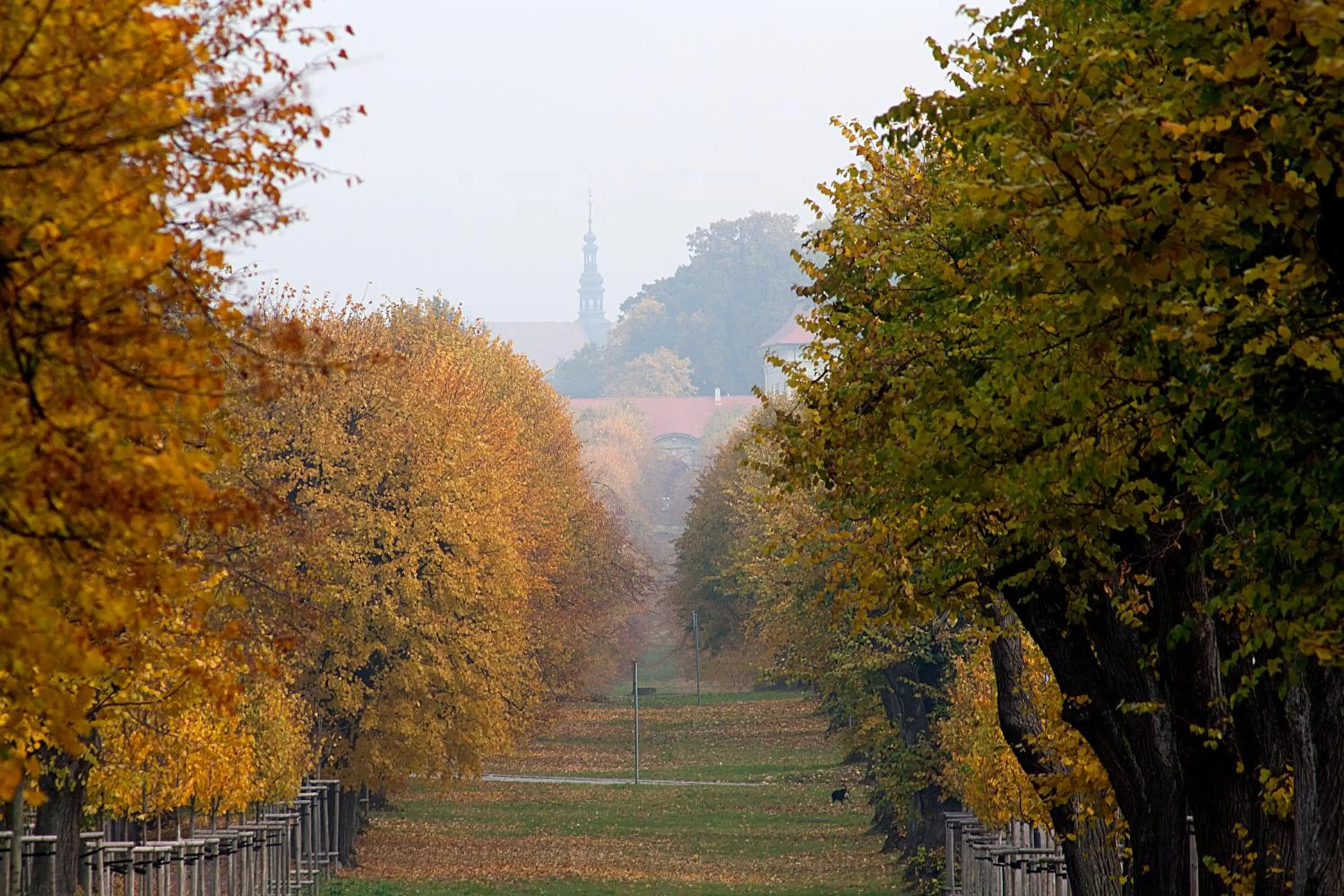 Off site in Hotel U Krále