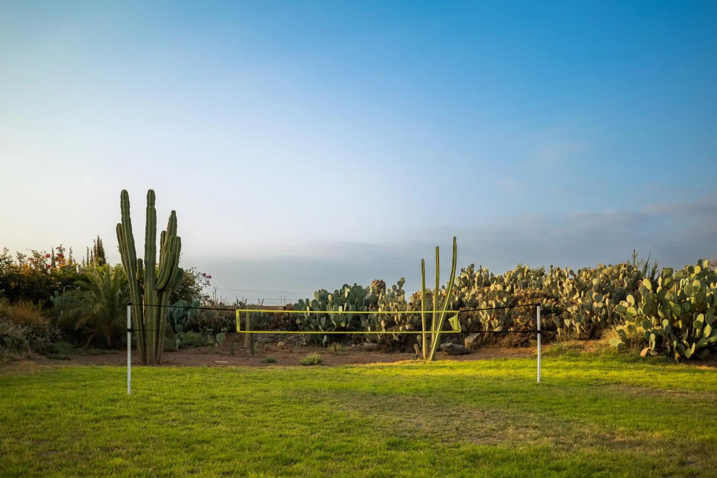 Sports in Fellah Hotel