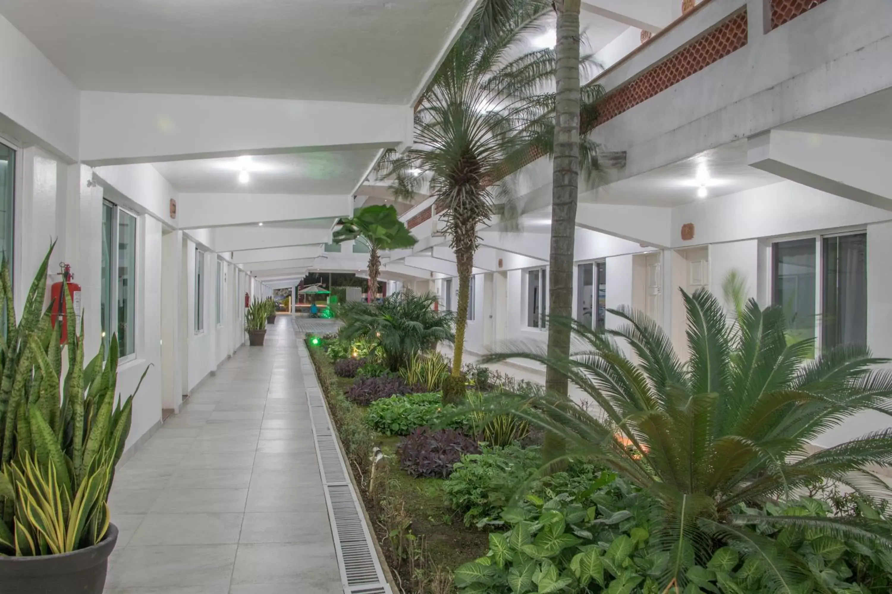 Garden in Hotel Casa Blanca