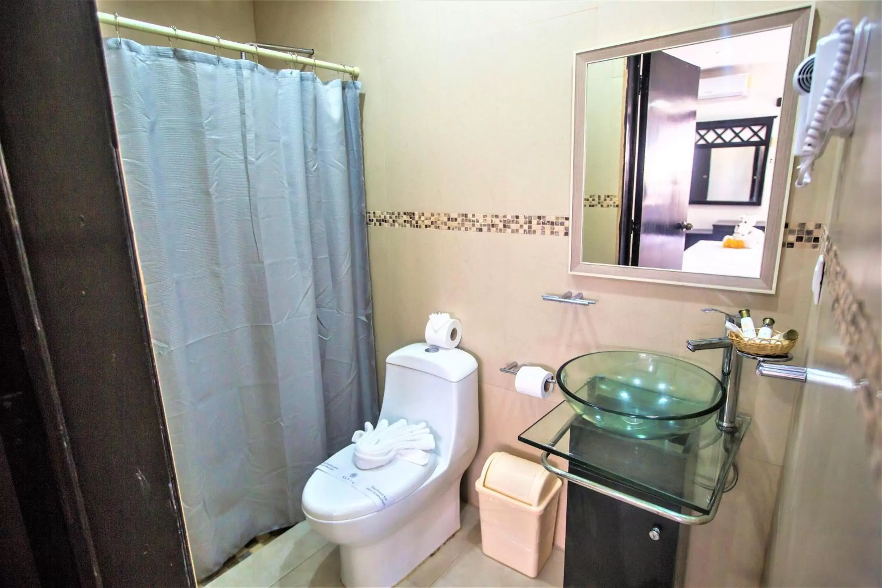 Toilet, Bathroom in Hotel Plaza Mirador