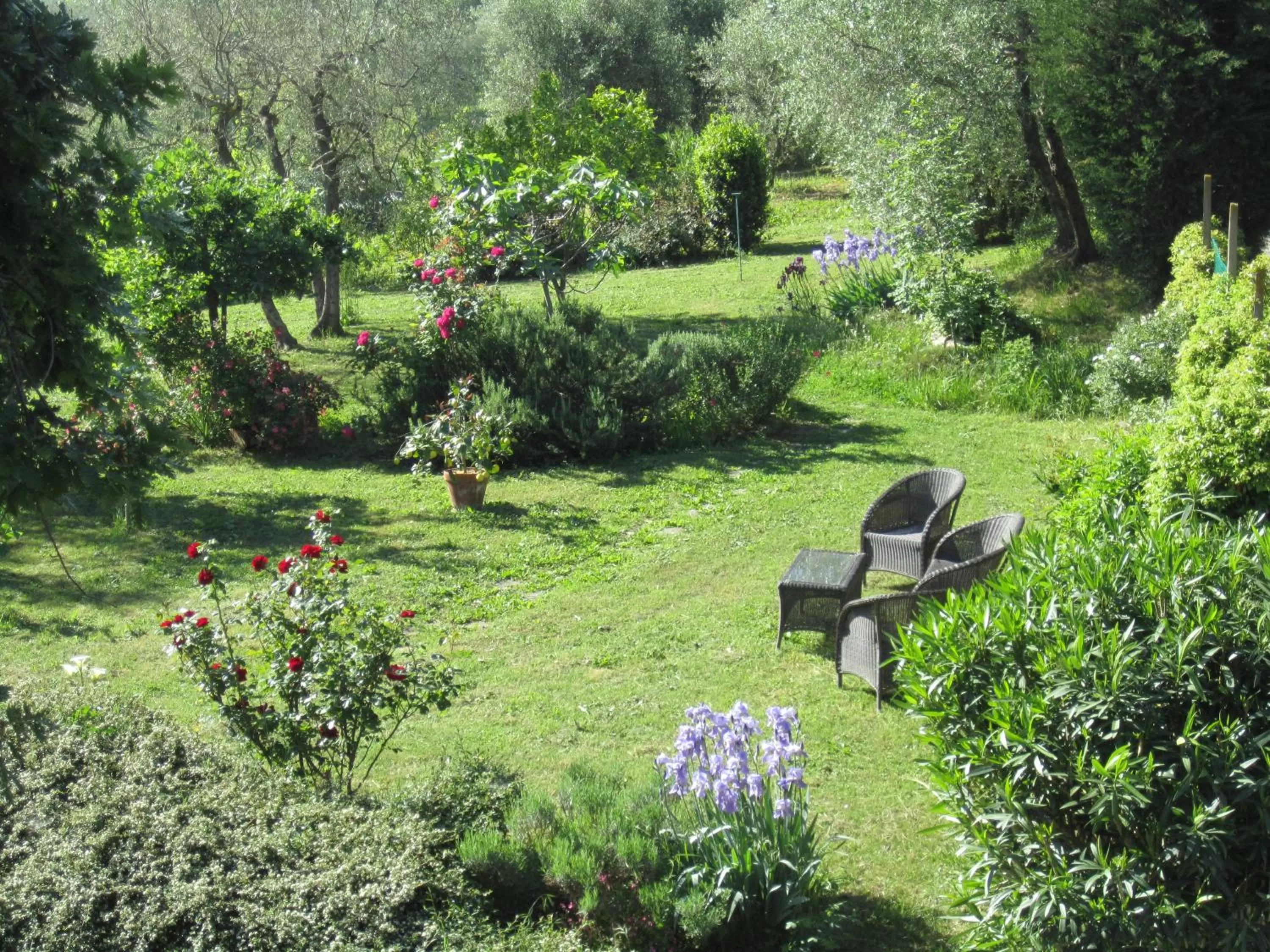 Garden view in A Casa di Lizzy B&B