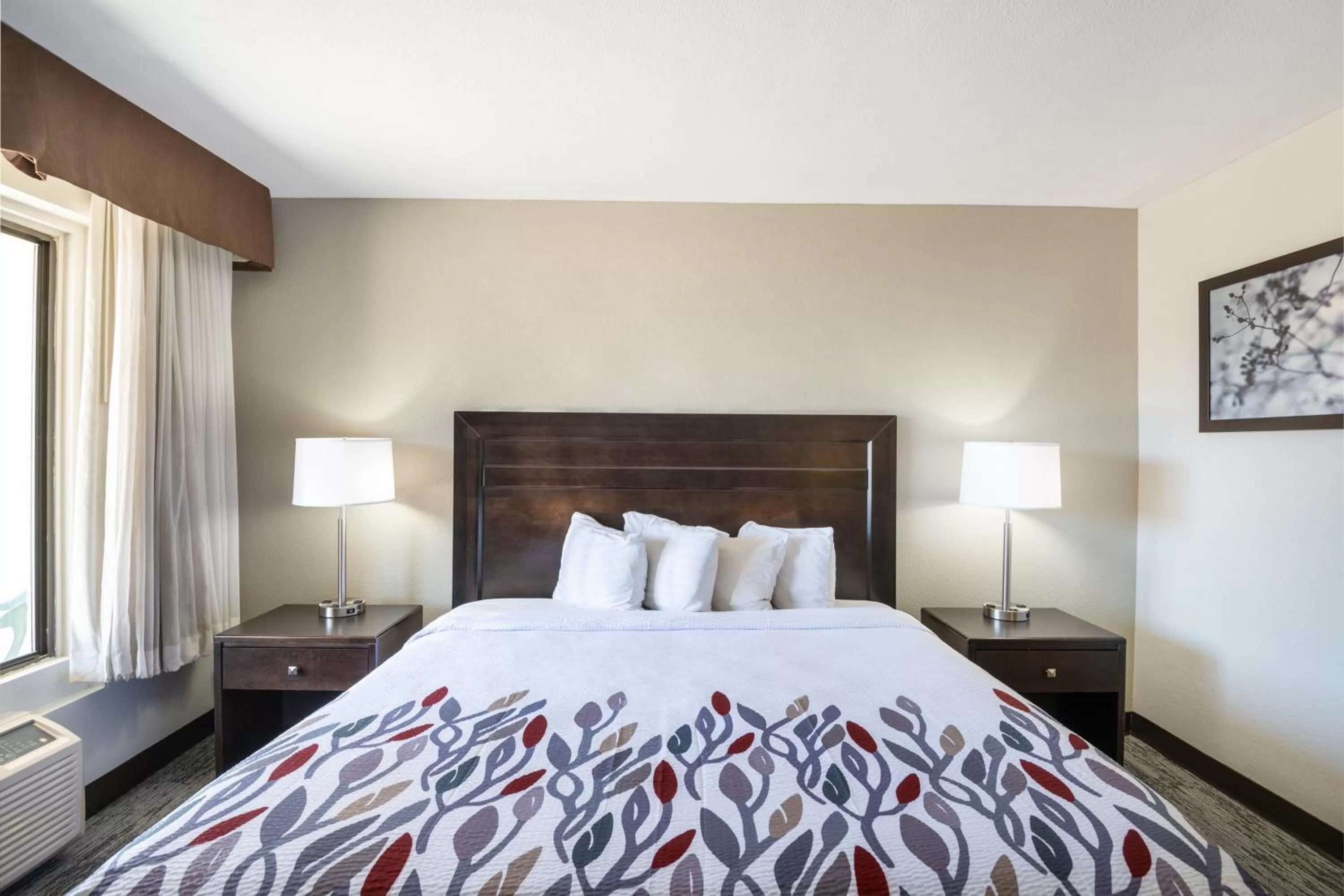 Photo of the whole room, Bed in Red Roof Inn Tucson Downtown - University