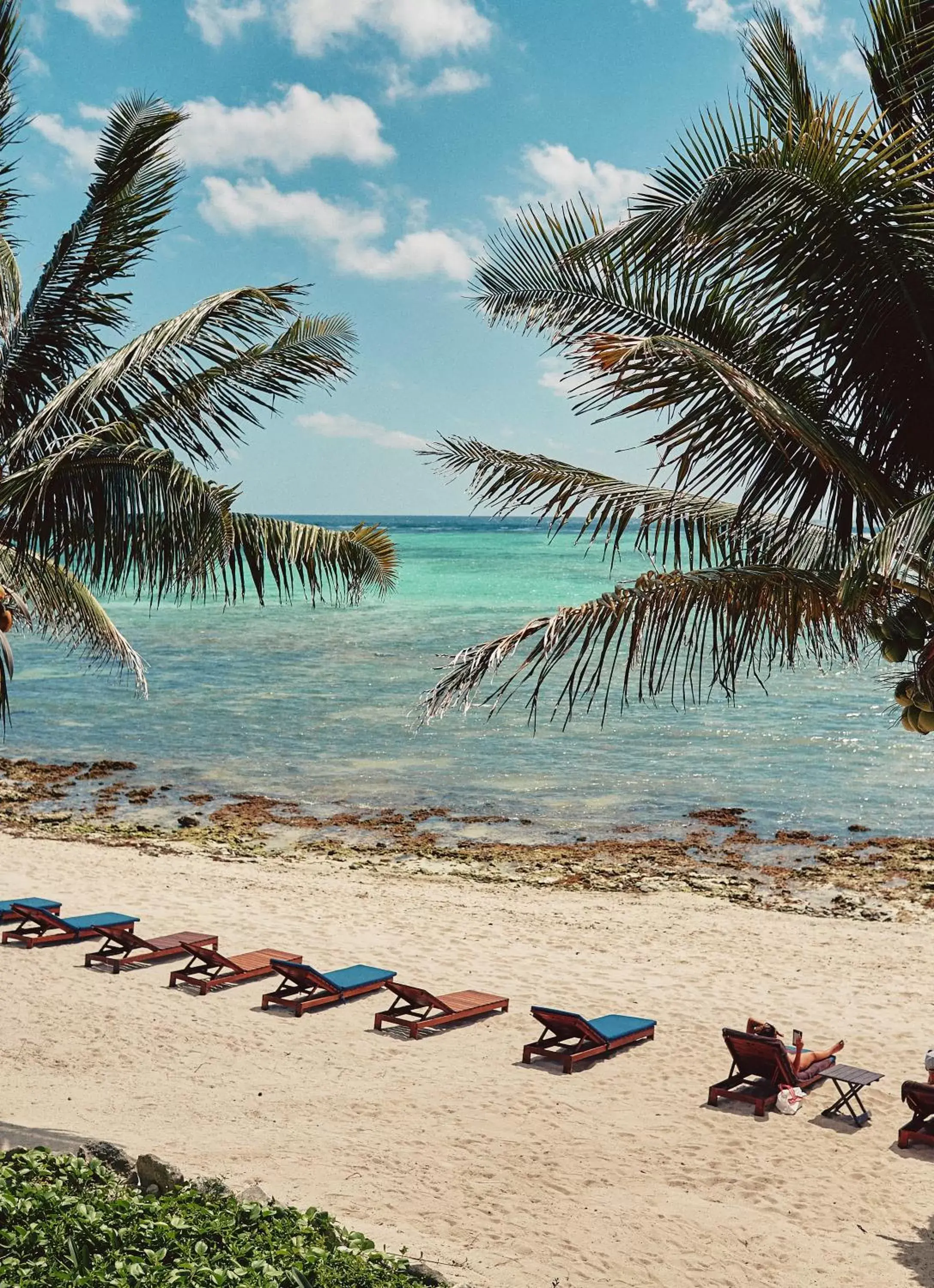 Beach in Casa Altamar