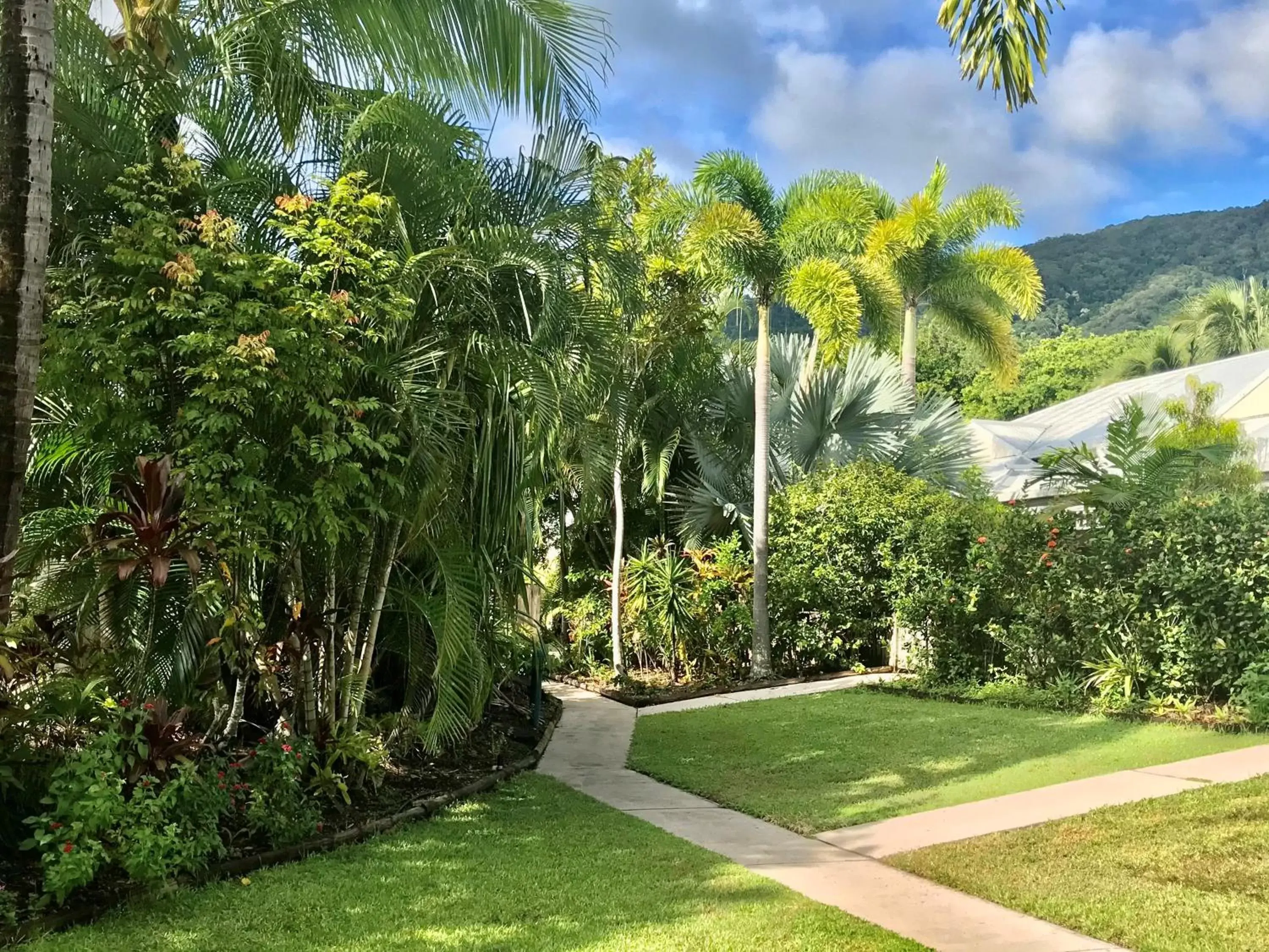 Natural landscape, Garden in The Villas Palm Cove