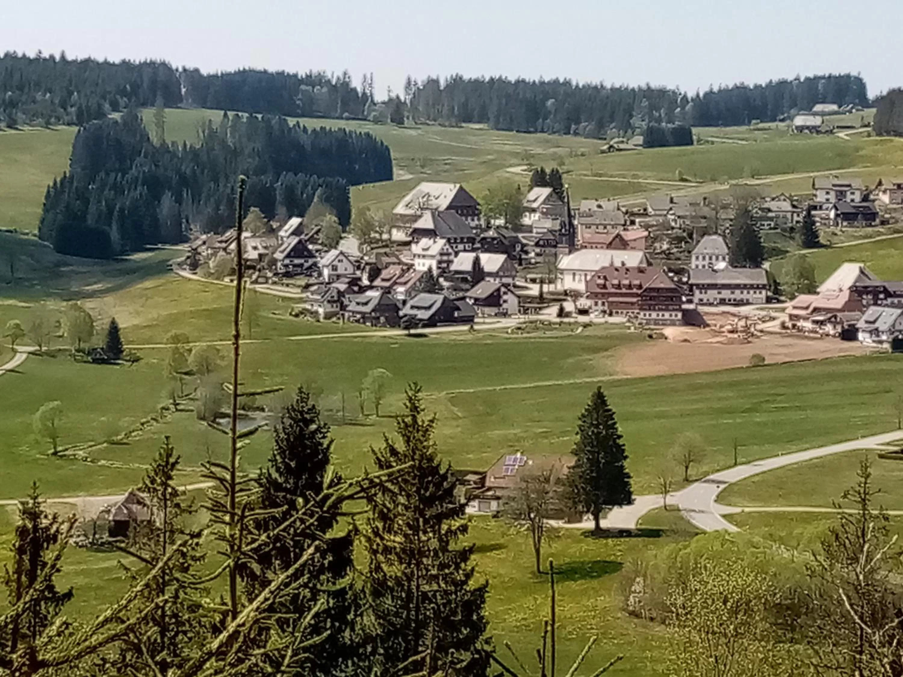 Natural landscape in ZUR TRAUBE Schwarzwaldhotel & Restaurant am Titisee