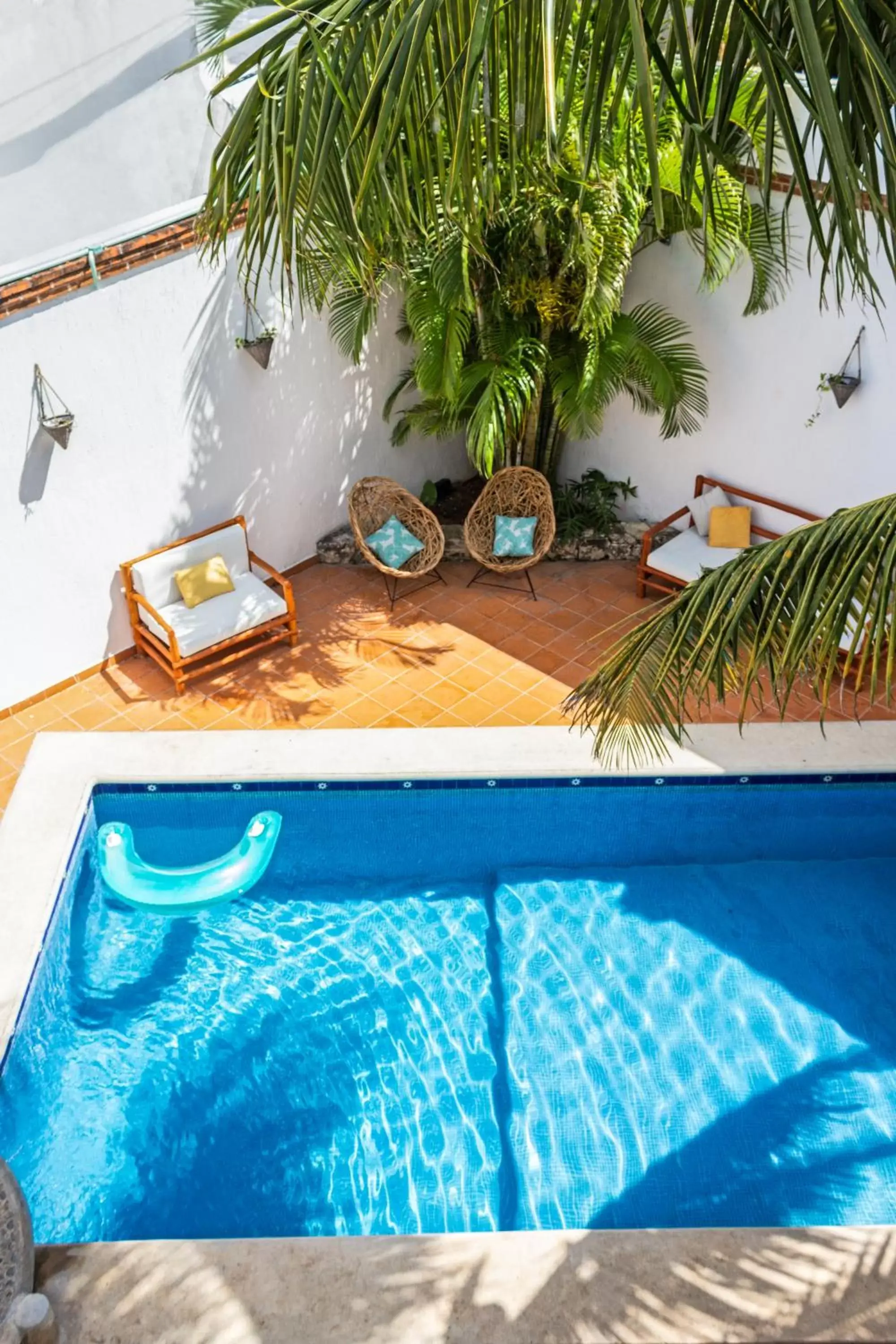 Patio, Swimming Pool in Mezcal Hostel